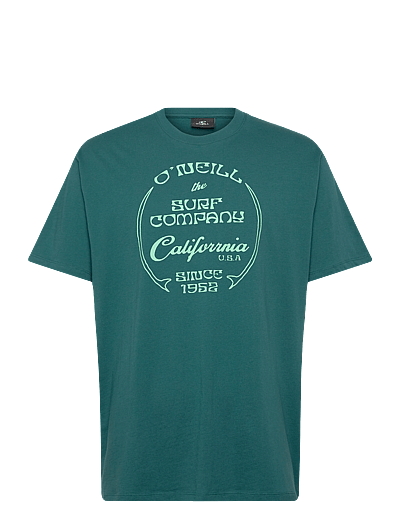 O'neill O'Neill Beach Front Print T-Shirt - Short-sleeved t-shirts - BOTANICAL HEAT / green