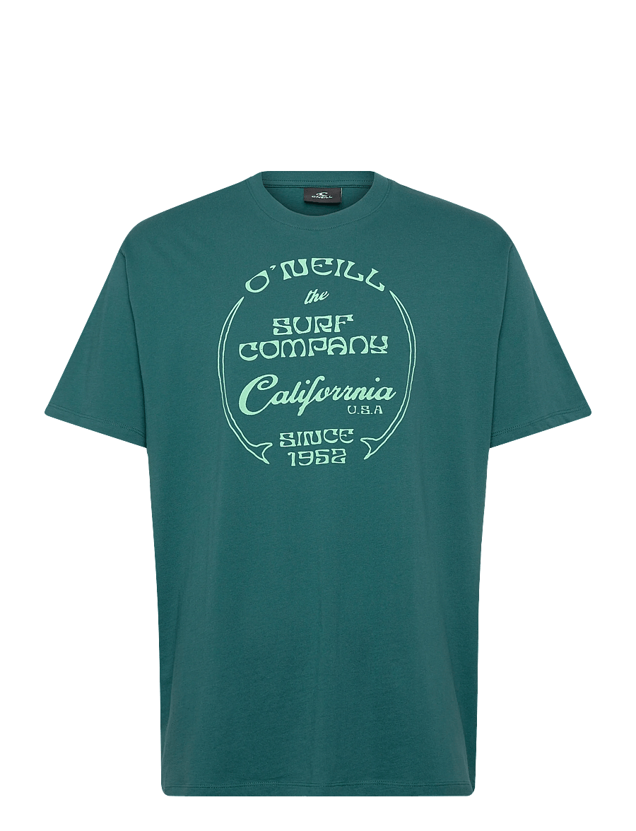 O'neill - O'Neill Beach Front Print T-Shirt - kortärmade t-shirts - botanical heat - 0