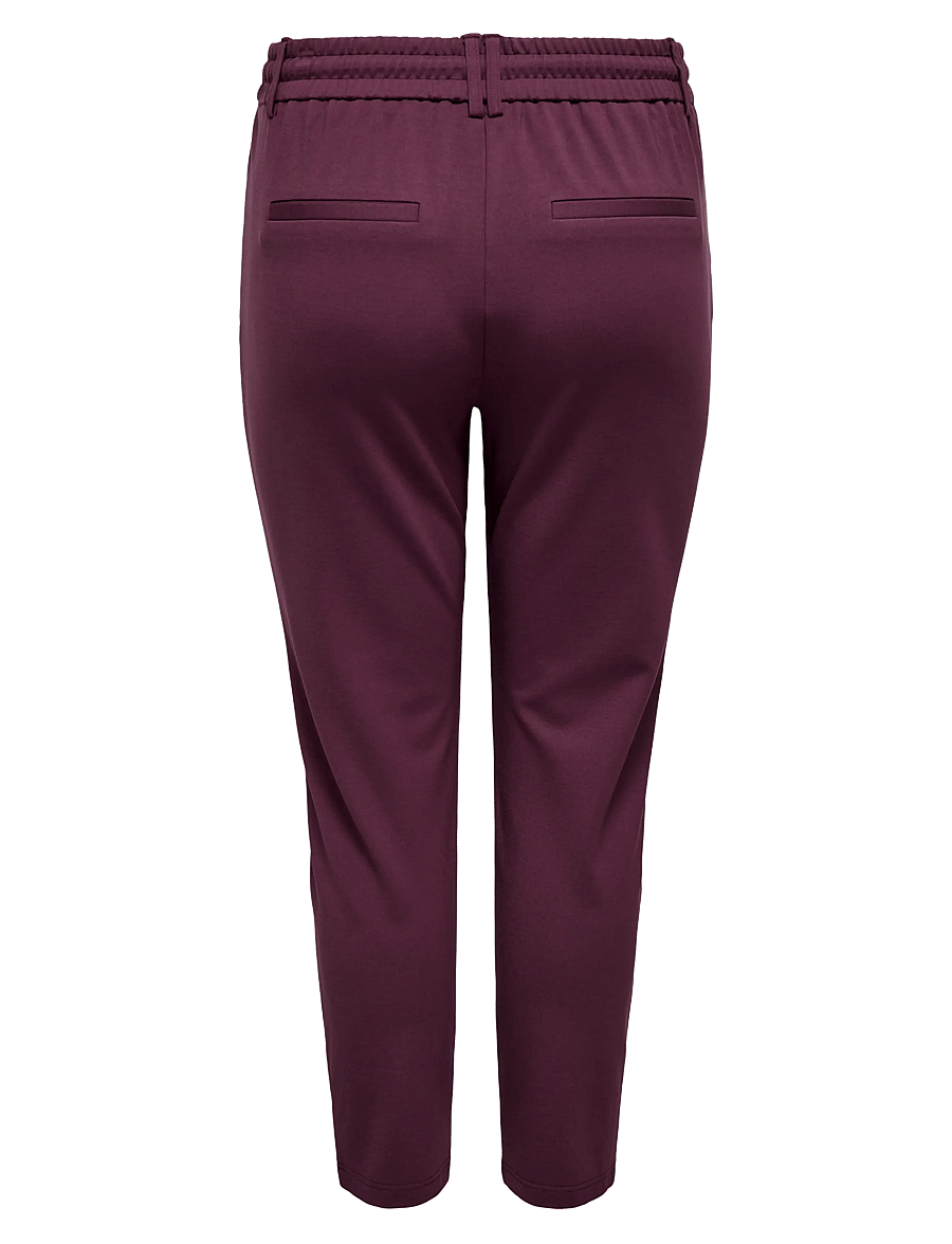 ONLY Carmakoma - CARGOLDTRASH CLASSIC PANT NOOS - slim fit bukser - port royale - 2