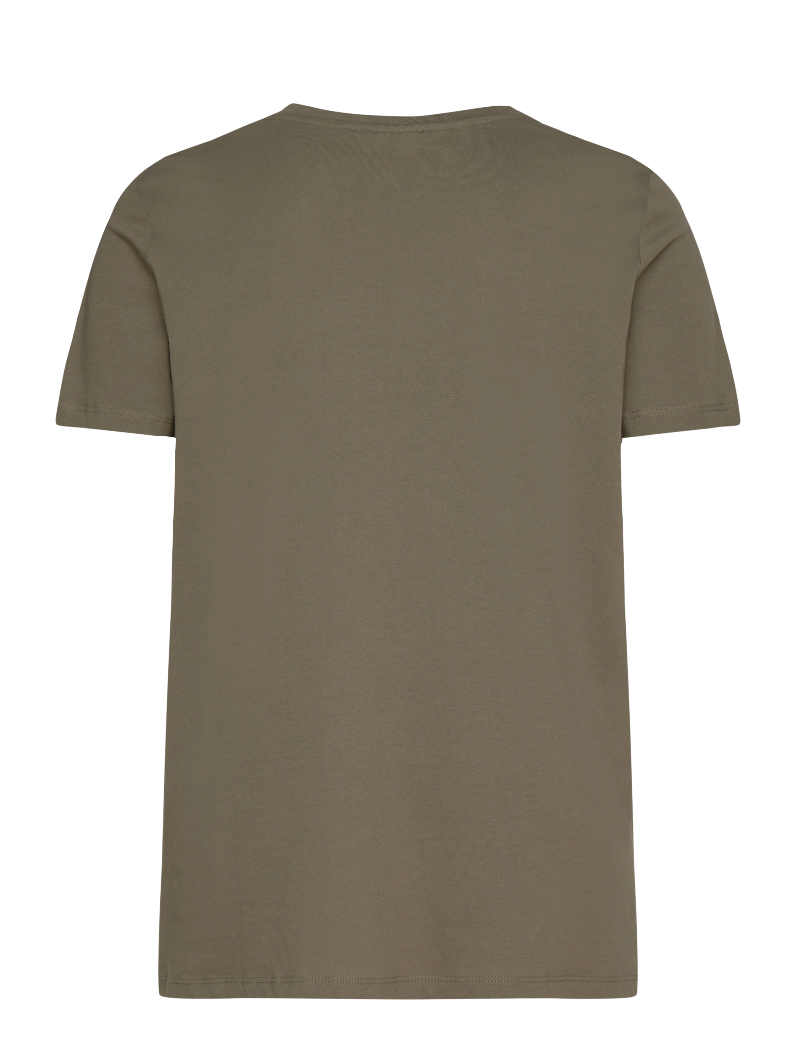 ONLY Carmakoma - CARBONNIE LIFE S/S V-NECK A-SHAPE TEE - kalamata - 1