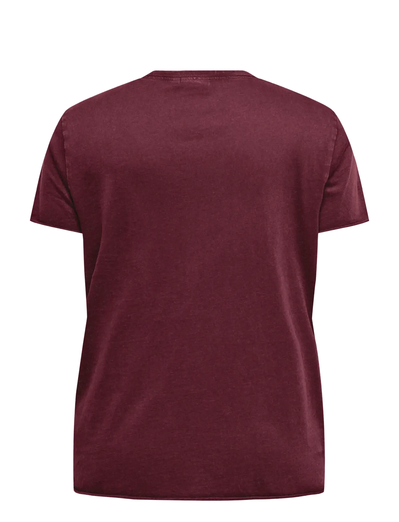 ONLY Carmakoma - CARLUCY REG S/S TOP JRS NOOS - t-shirts - fig - 1