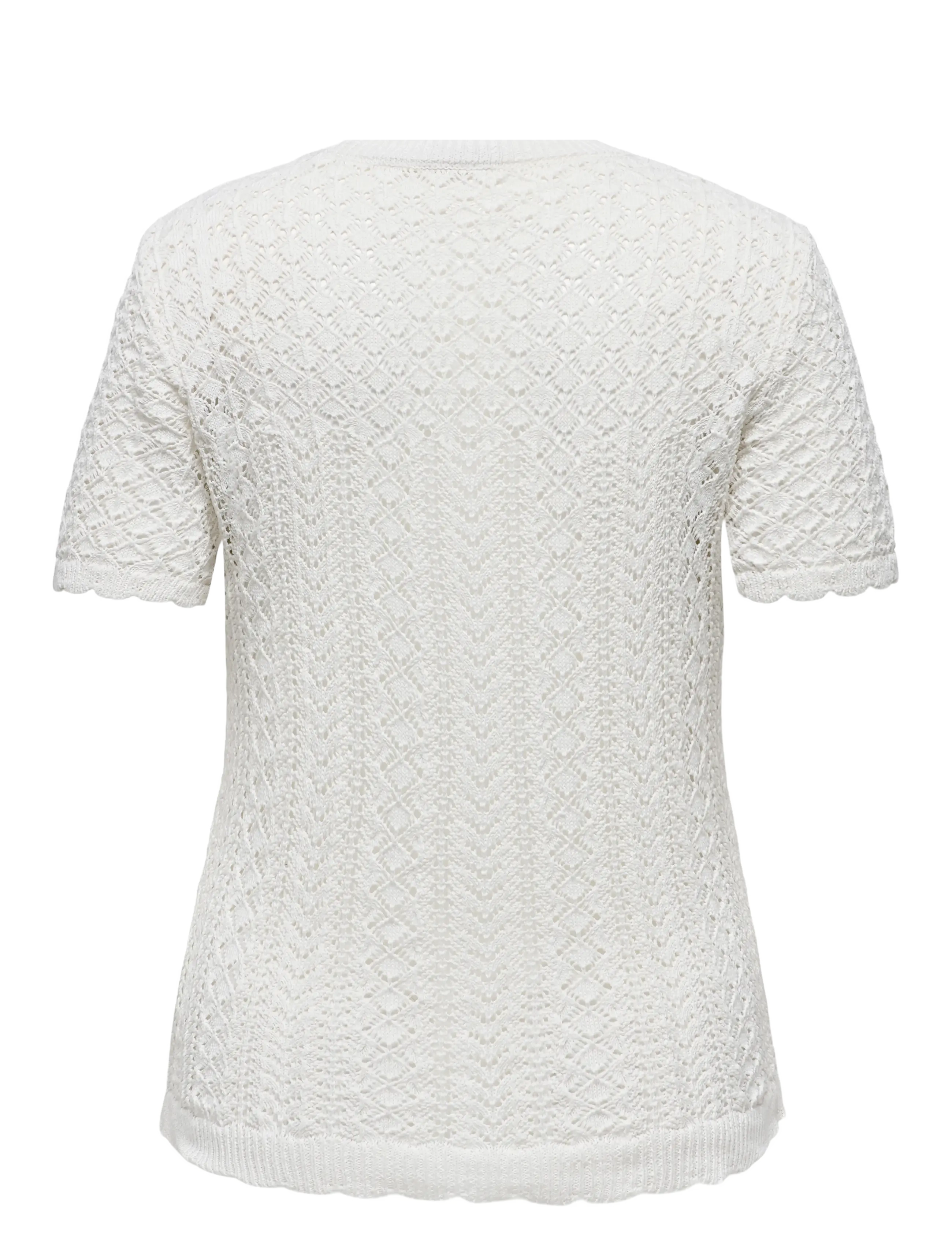 ONLY Carmakoma - CARSAGA LIFE SS O-NECK KNT - ecru - 2