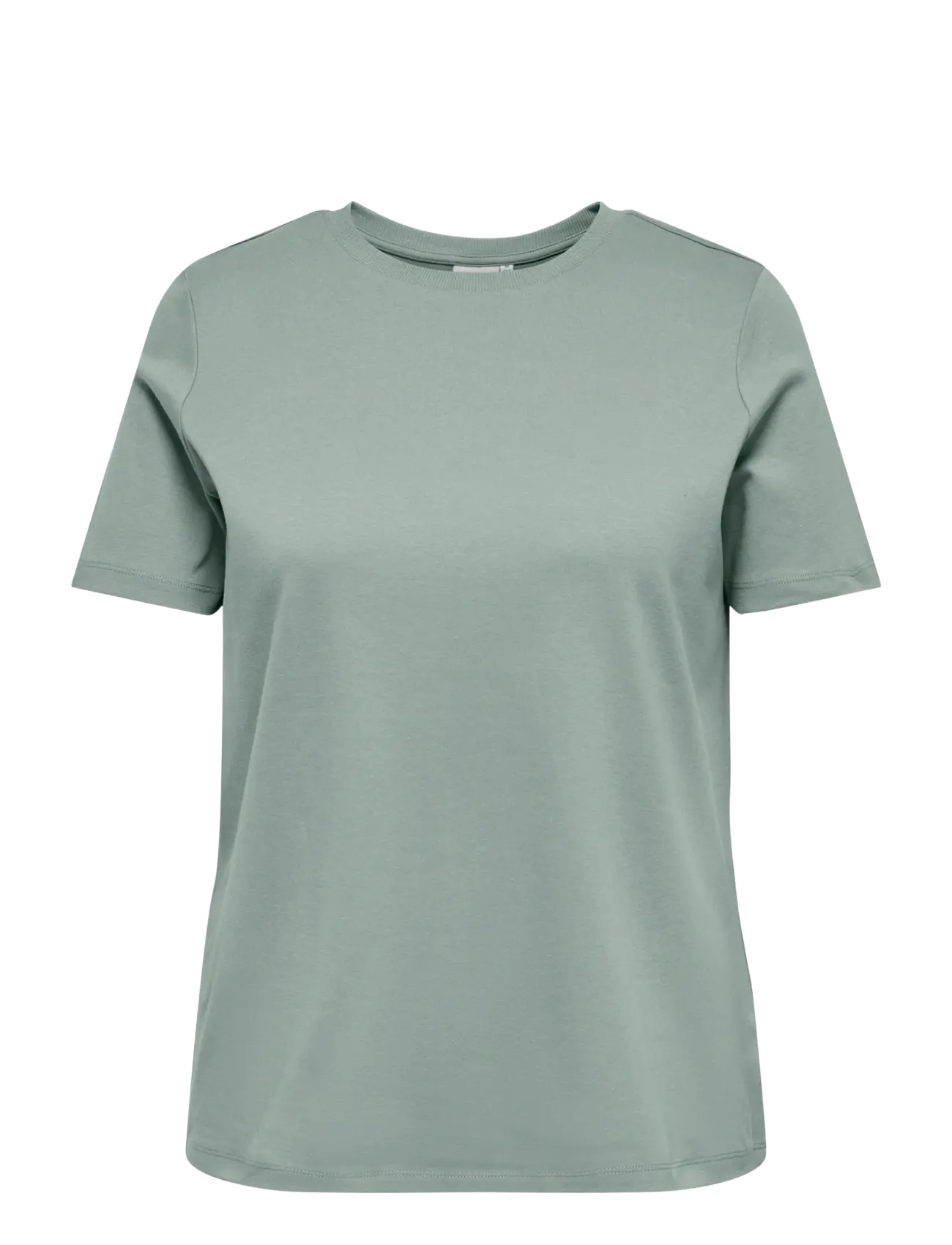 ONLY Carmakoma CARJEN S/S JEANS TEE JRS NOOS - T-shirts - JADEITE / green