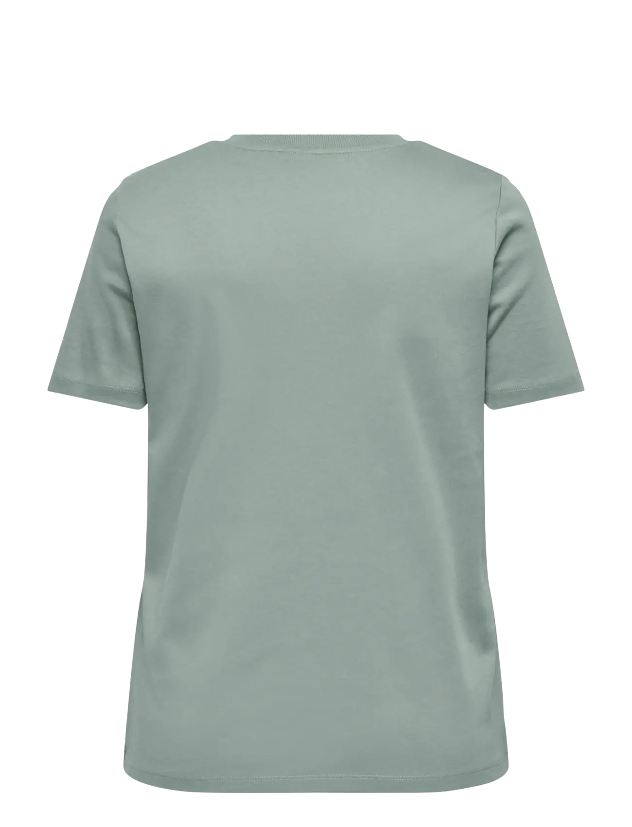 ONLY Carmakoma - CARJEN S/S JEANS TEE JRS NOOS - jadeite - 2