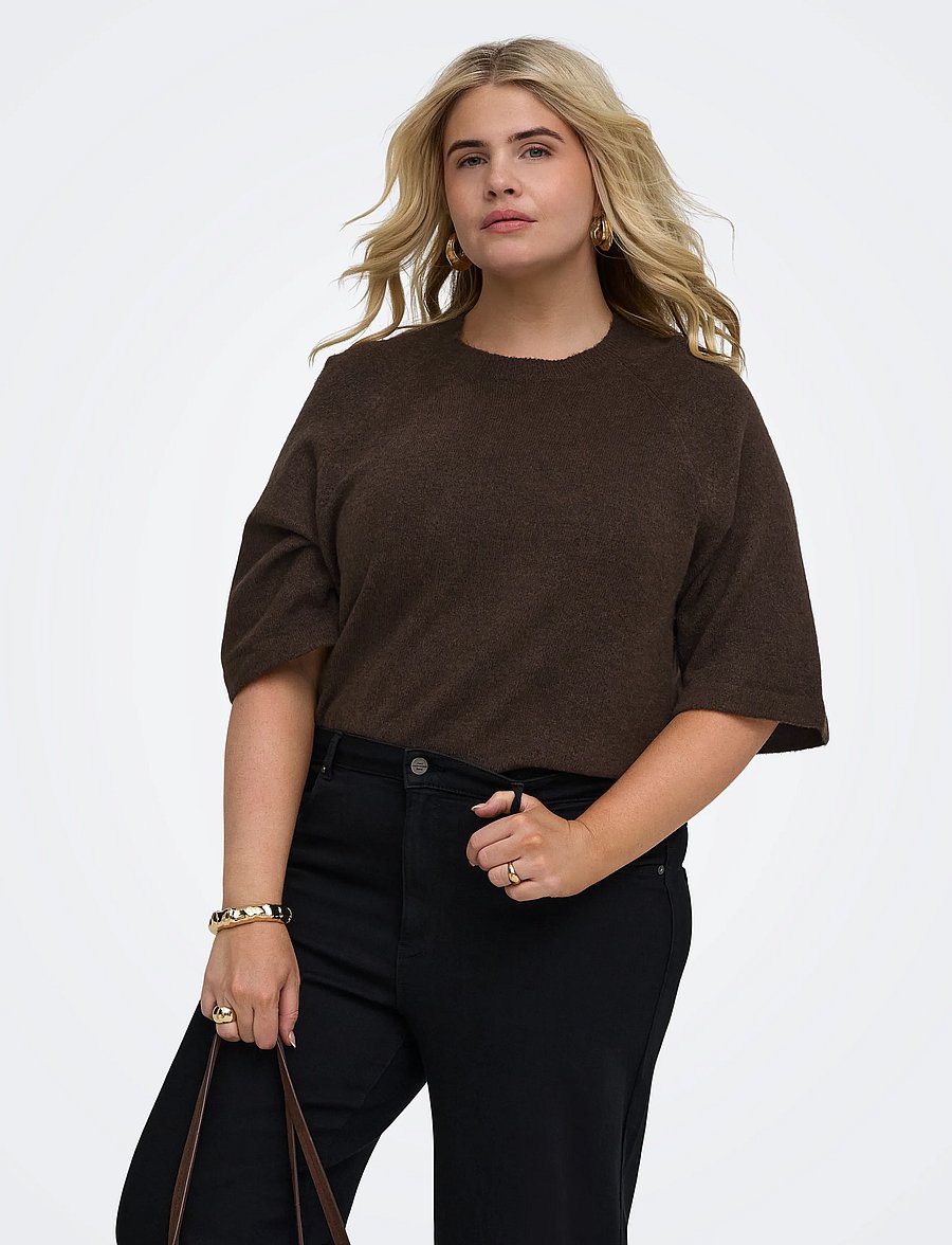 ONLY Carmakoma - CARSIMONI 3/4 PULLOVER KNT NOOS - pullover - coffee bean - 0