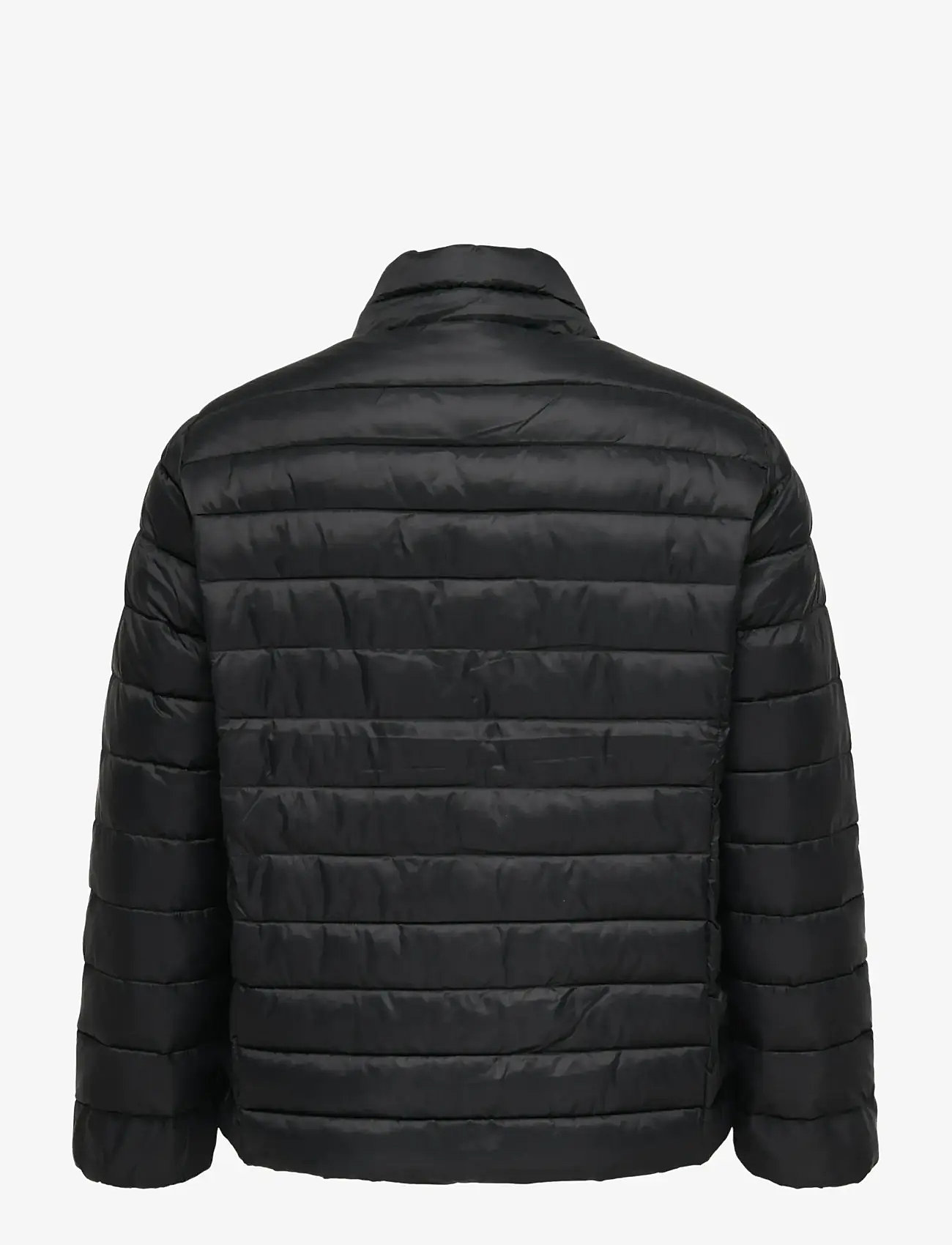 ONLY Carmakoma - CARTAHIA LW QUILTED JACKET OTW NOOS - steppjacken - black - 2