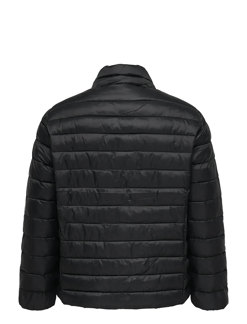 ONLY Carmakoma - CARTAHIA LW QUILTED JACKET OTW NOOS - steppjacken - black - 2