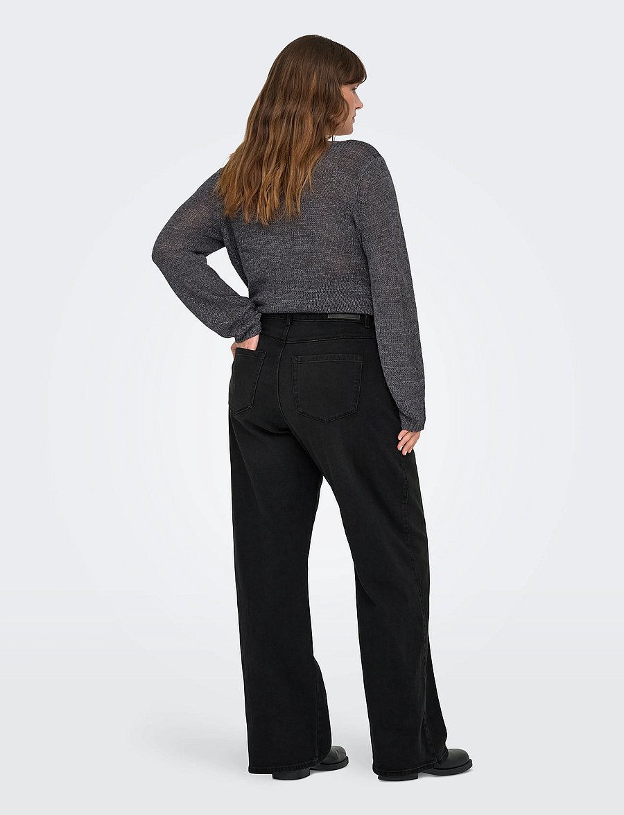ONLY Carmakoma - CARSNOW HW WIDE DNM JEANS PIM WB NOOS - brede jeans - washed black - 3