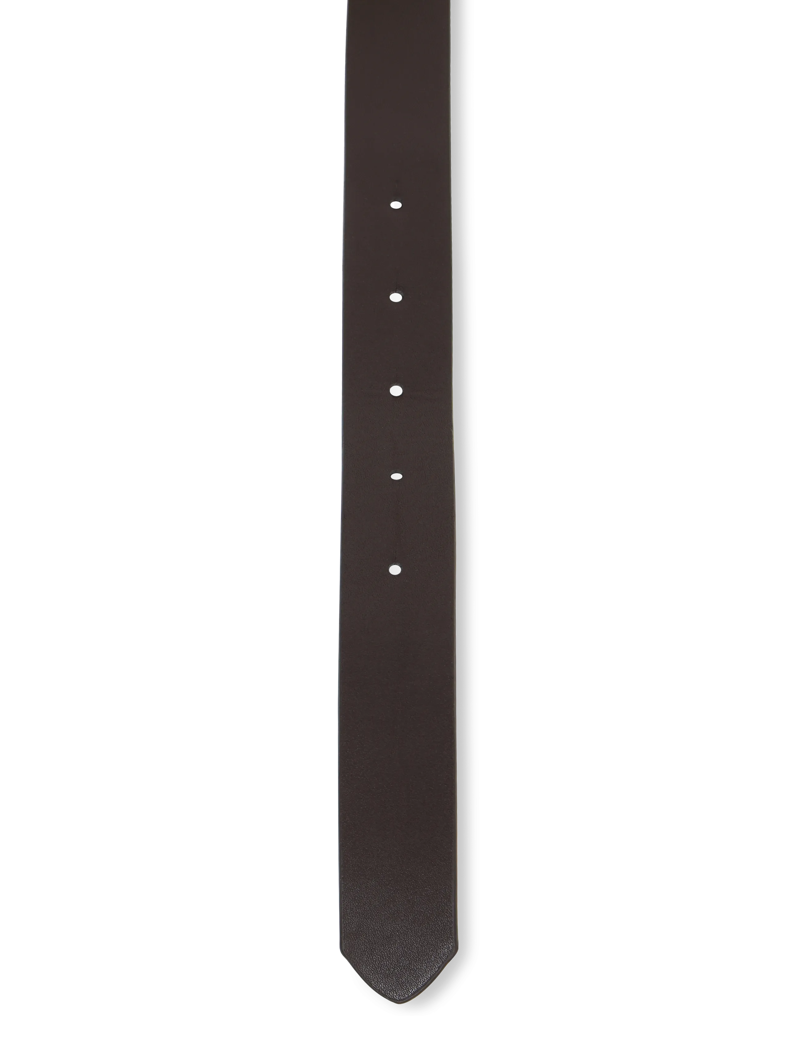 ONLY Carmakoma - CARRASMI FAUX LEATHER JEANS BELT - ceintures classiques - coffee bean - 2