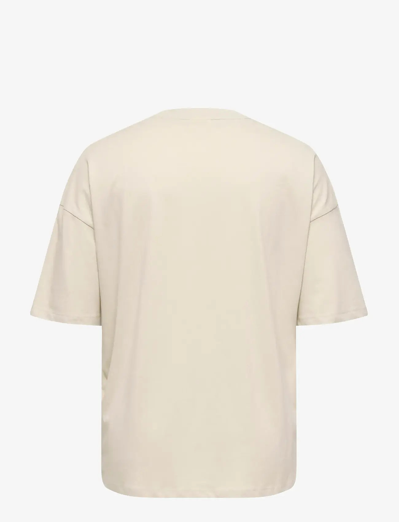 ONLY Carmakoma - CARKOURTNEY LIFE SS O-NECK REG TEE JRS - t-shirts - pumice stone - 1