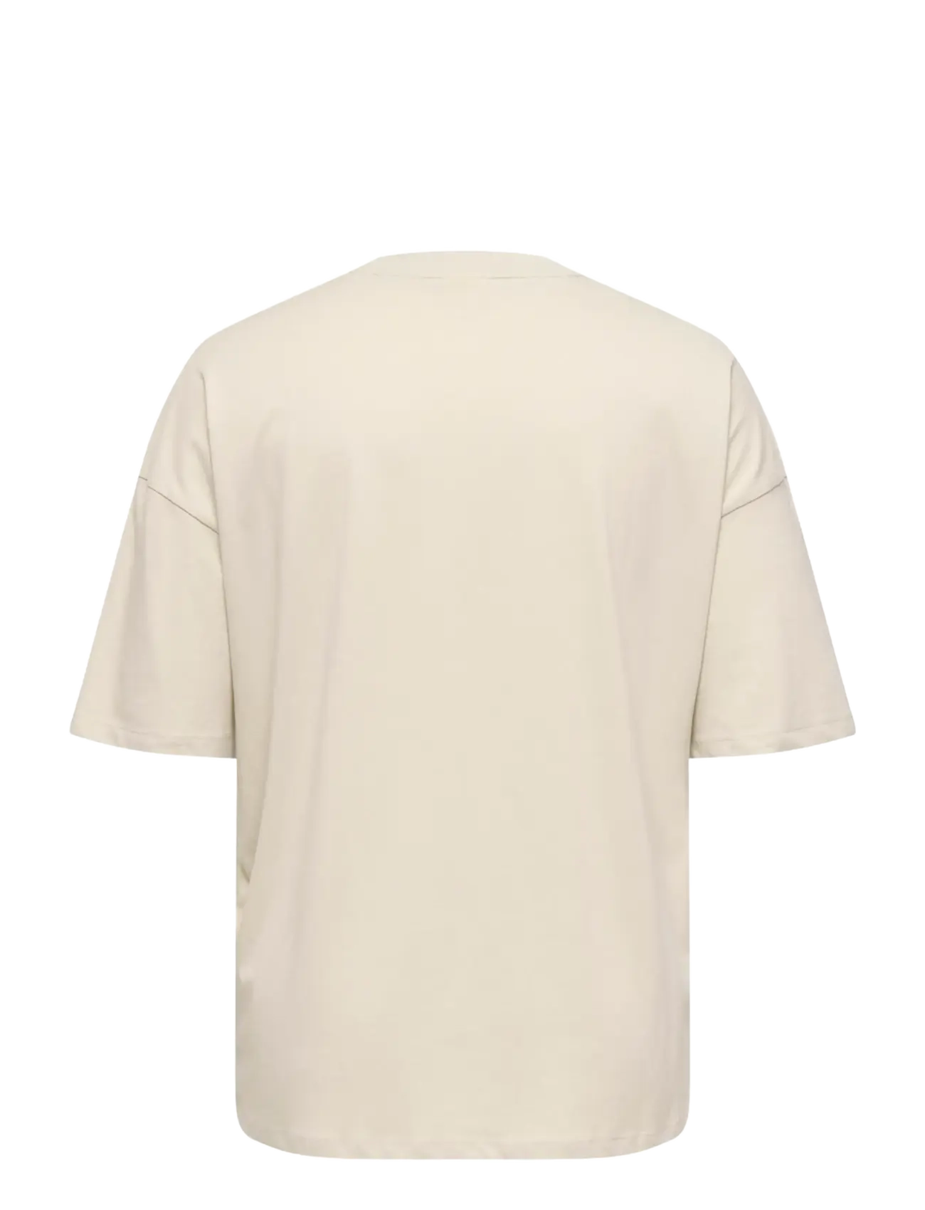 ONLY Carmakoma - CARKOURTNEY LIFE SS O-NECK REG TEE JRS - pumice stone - 2