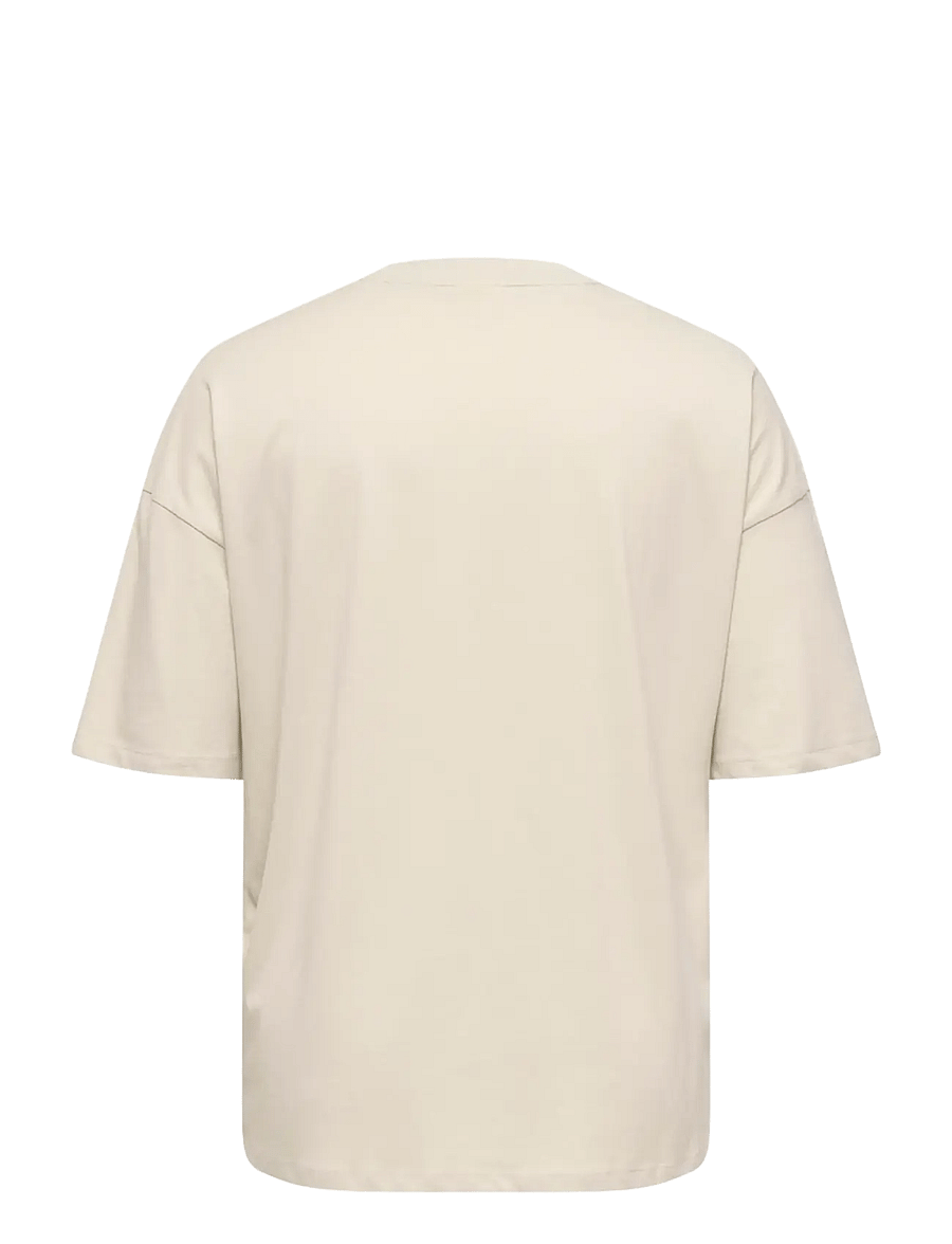 ONLY Carmakoma - CARKOURTNEY LIFE SS O-NECK REG TEE JRS - pumice stone - 2