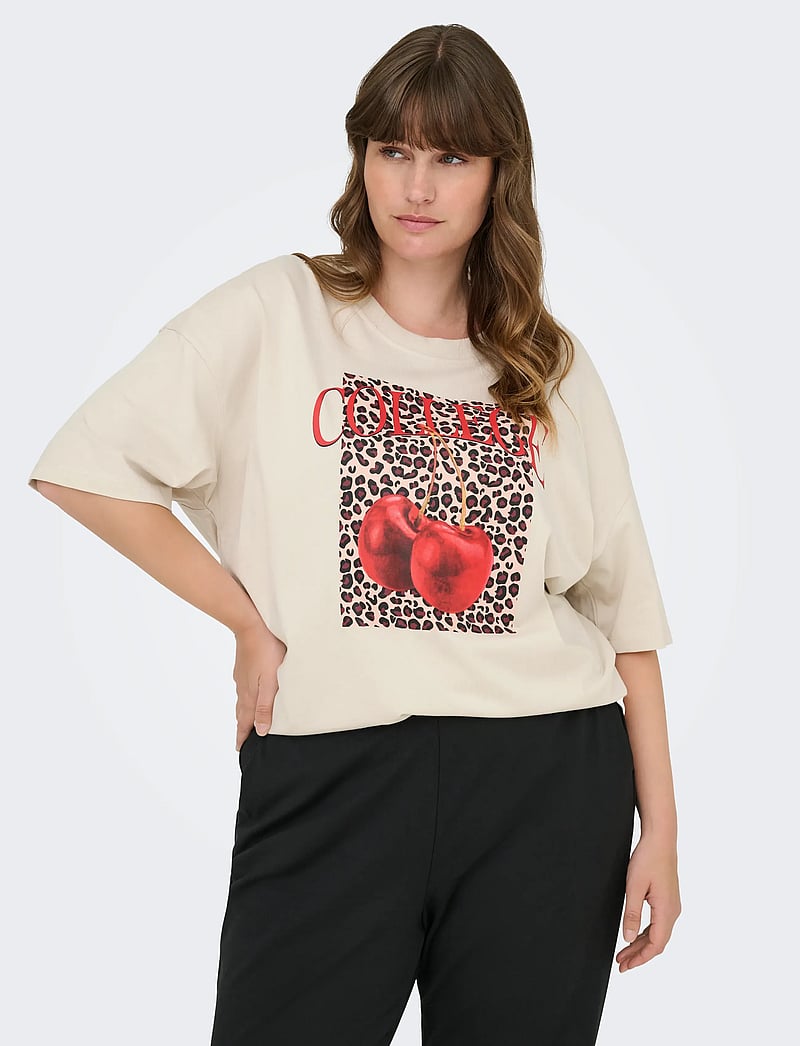 ONLY Carmakoma - CARKOURTNEY LIFE SS O-NECK REG TEE JRS - pumice stone - 5
