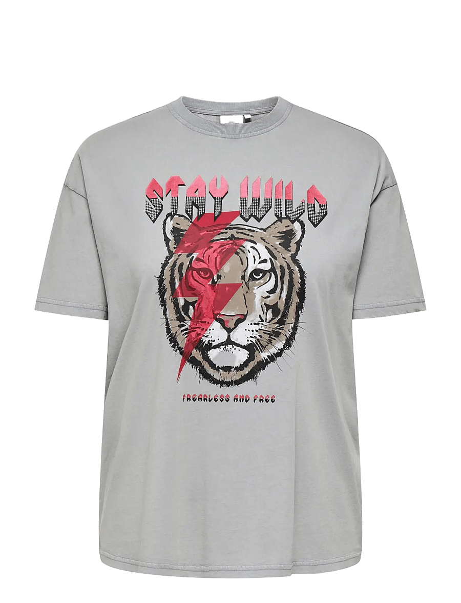 ONLY Carmakoma - CARTICO LIFE SS RELAXED O-NECK TEE JRS - t-shirts - ultimate grey - 0