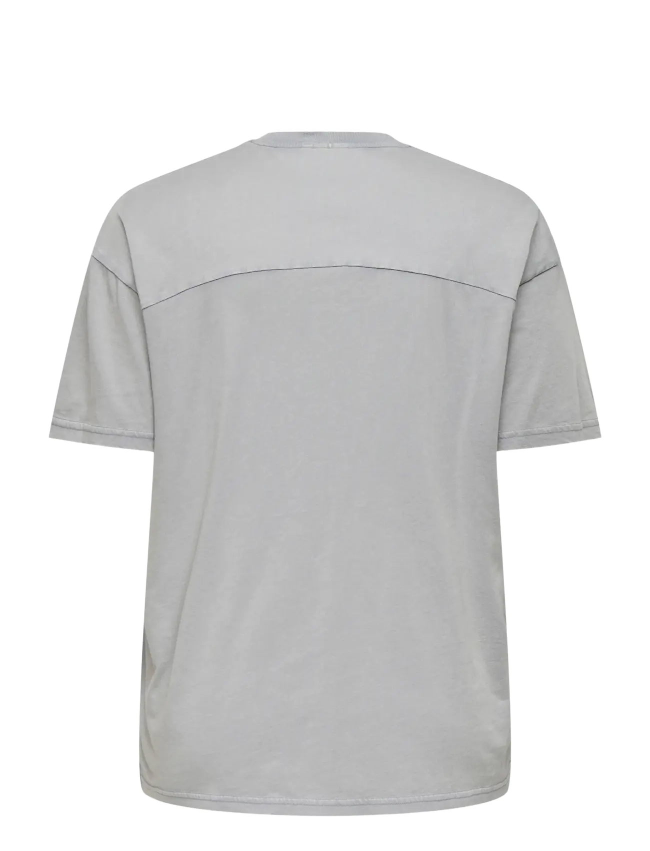 ONLY Carmakoma - CARTICO LIFE SS RELAXED O-NECK TEE JRS - t-shirts - ultimate grey - 1