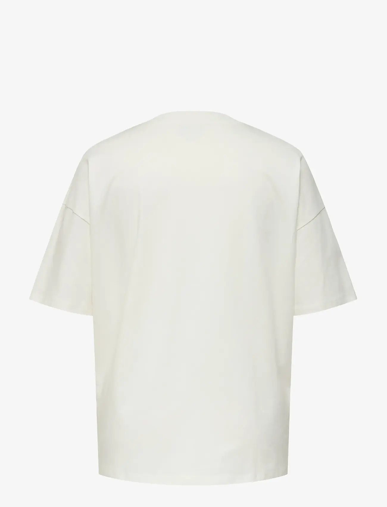 ONLY Carmakoma - CARWINOVA LIFE  S/S O-NECK LOOSE TEE JRS - t-särgid - cloud dancer - 2