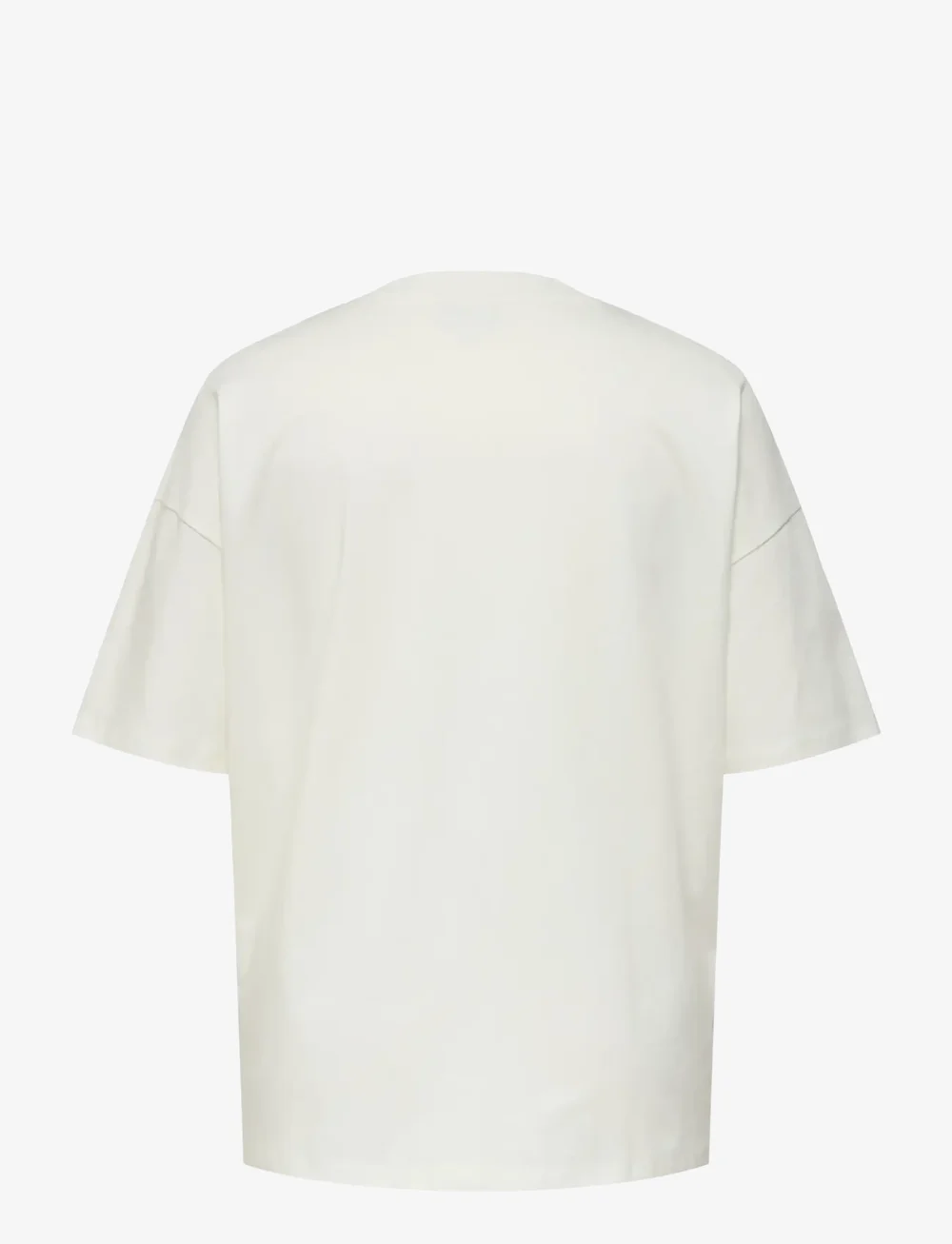 ONLY Carmakoma - CARWINOVA LIFE  S/S O-NECK LOOSE TEE JRS - t-shirts - cloud dancer - 2