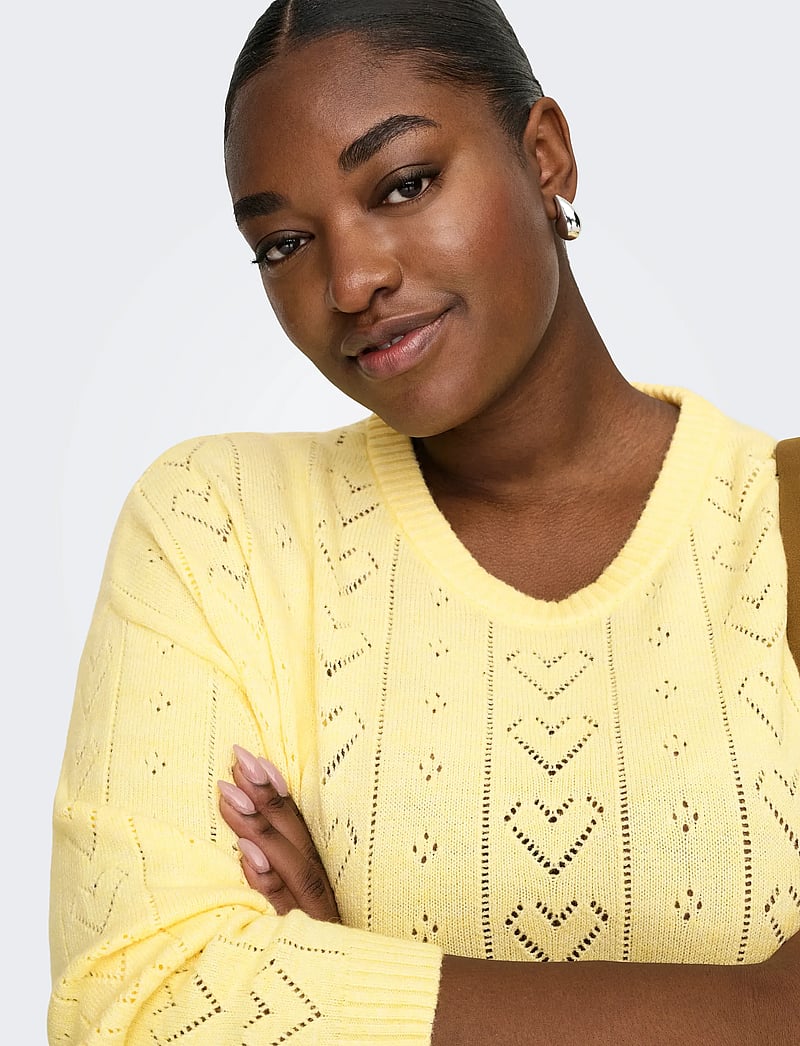 ONLY Carmakoma - CARISA LIFE LS STRUCTURE BOXY O-NECK KNT - stickade tröjor - sunlight - 5