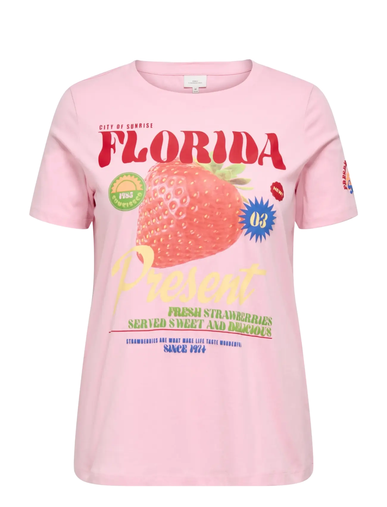 ONLY Carmakoma CARBOLETTE LIFE REG S/S TOP BOX JRS - Tøj - ROMANCE ROSE / pink/rose