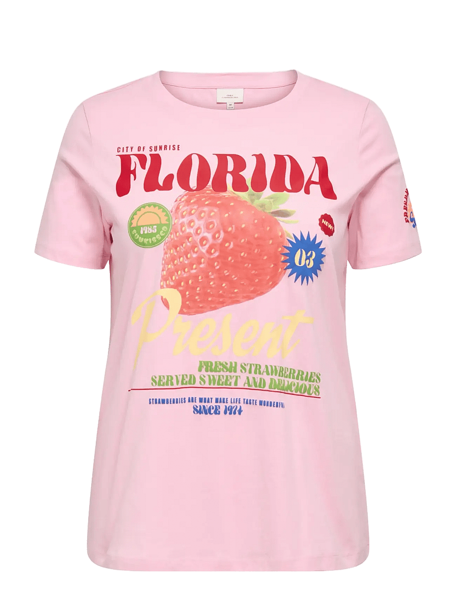 ONLY Carmakoma - CARBOLETTE LIFE REG S/S TOP BOX JRS - romance rose - 1