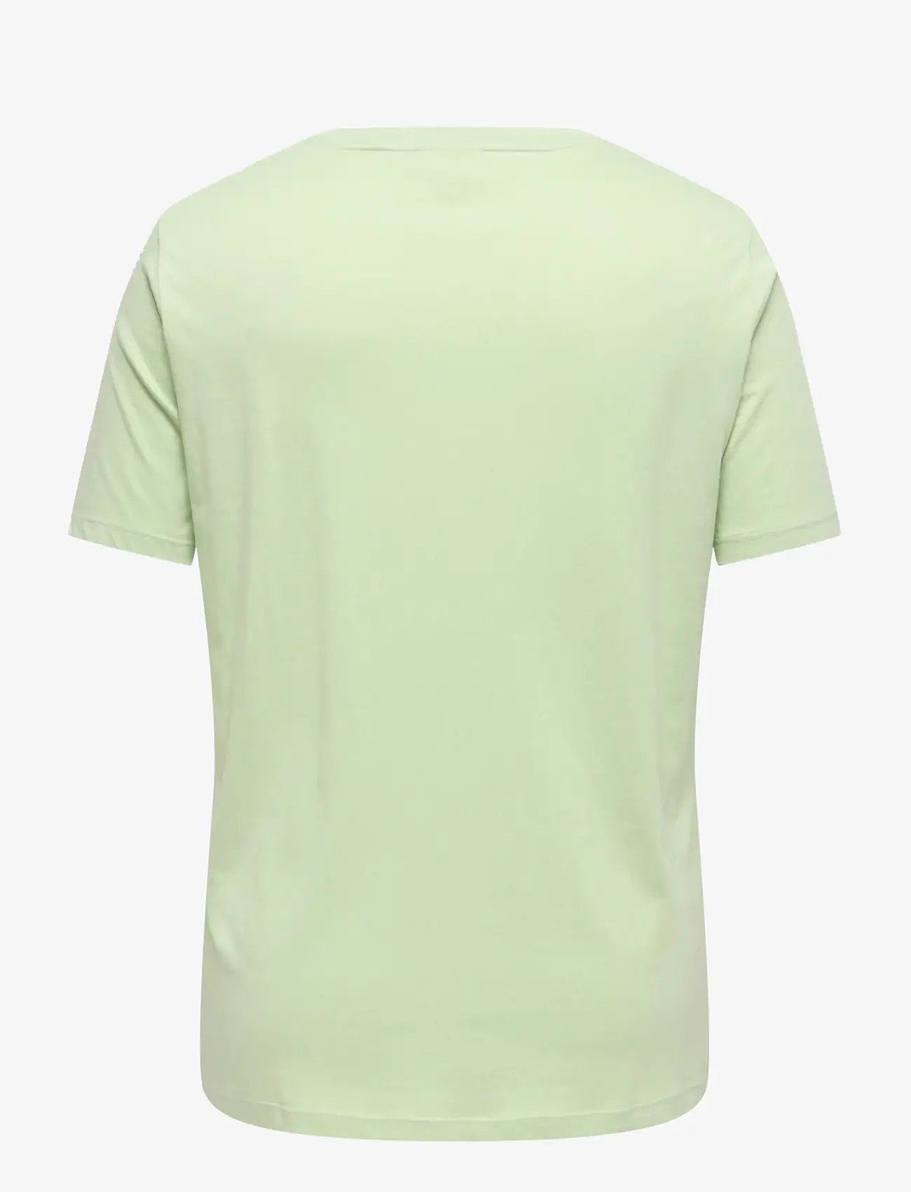 ONLY Carmakoma - CARMALLE S/S O-NECK REG TEE JRS - t-shirts - laurel green - 1