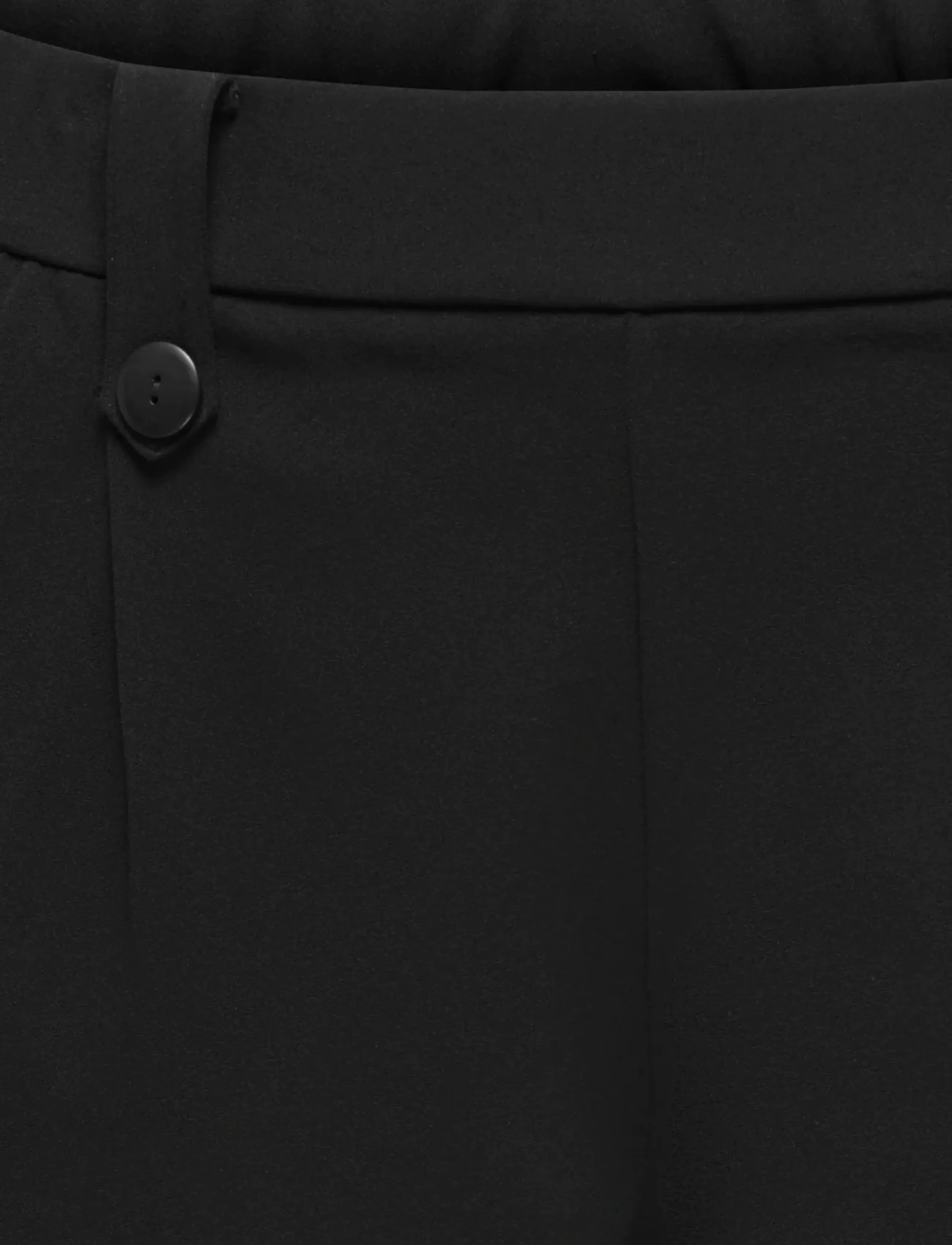 ONLY Carmakoma - CARSANIA BUTTON SHORTS JRS PNT - chino-shorts - black - 2