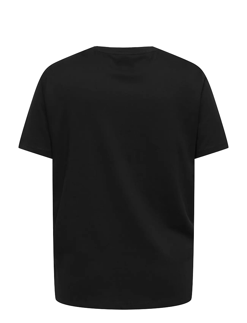 ONLY Carmakoma - CARZENIA S/S O-NECK TOP JRS - t-shirts - black - 2