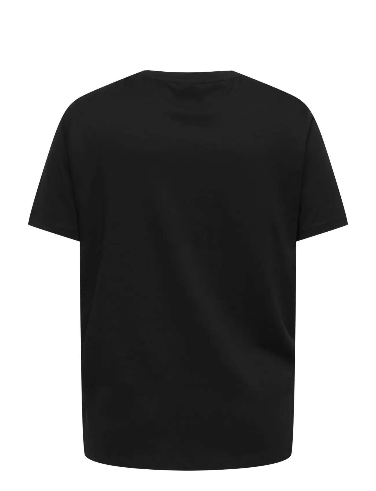 ONLY Carmakoma - CARZENIA S/S O-NECK TOP JRS - t-shirts - black - 2