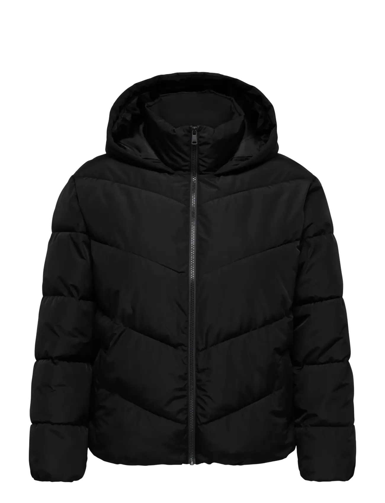 ONLY Carmakoma CARCLAIR SHORT PUFFER OTW - Jackets & Coats - BLACK / black