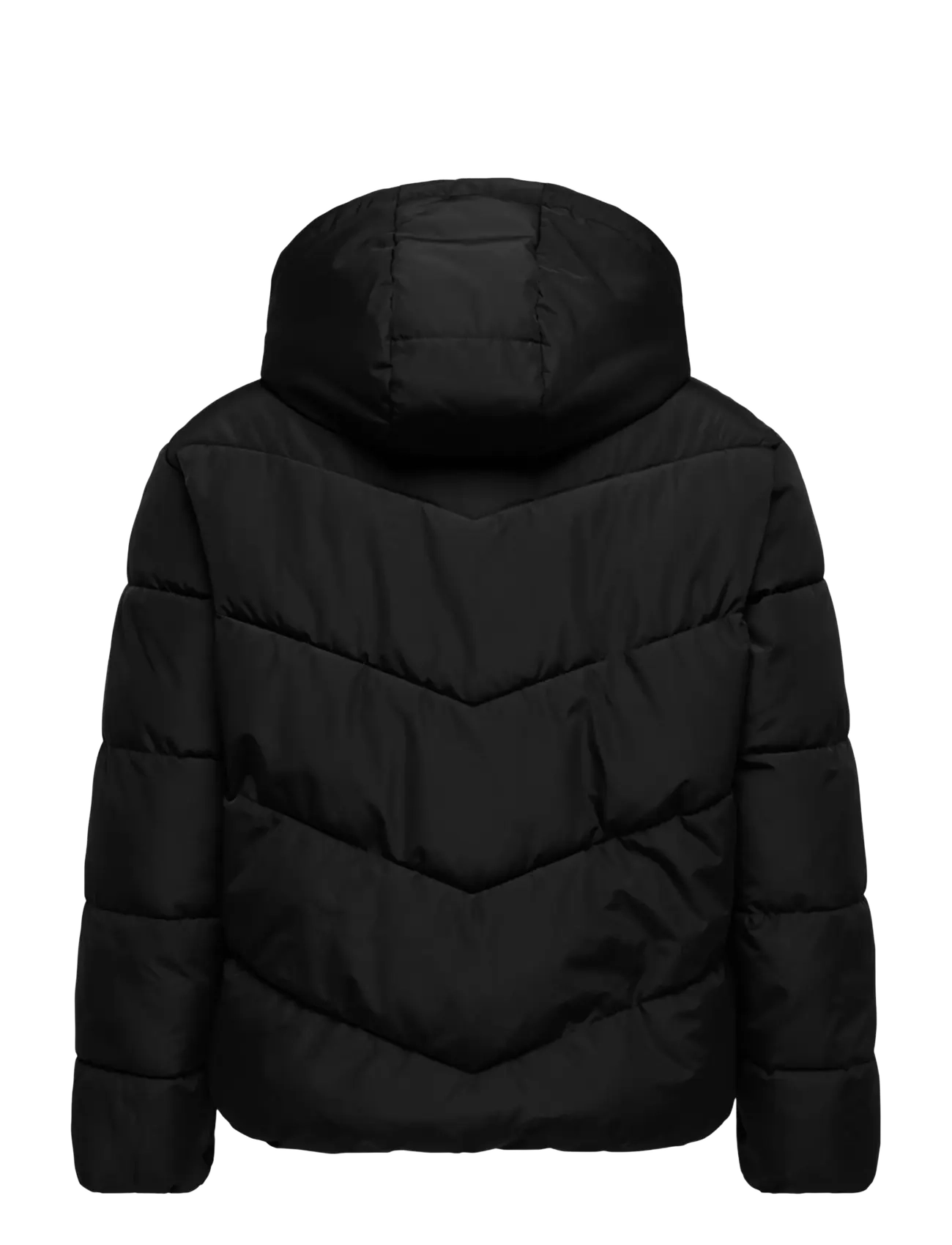 ONLY Carmakoma - CARCLAIR SHORT PUFFER OTW - winter jackets - black - 1