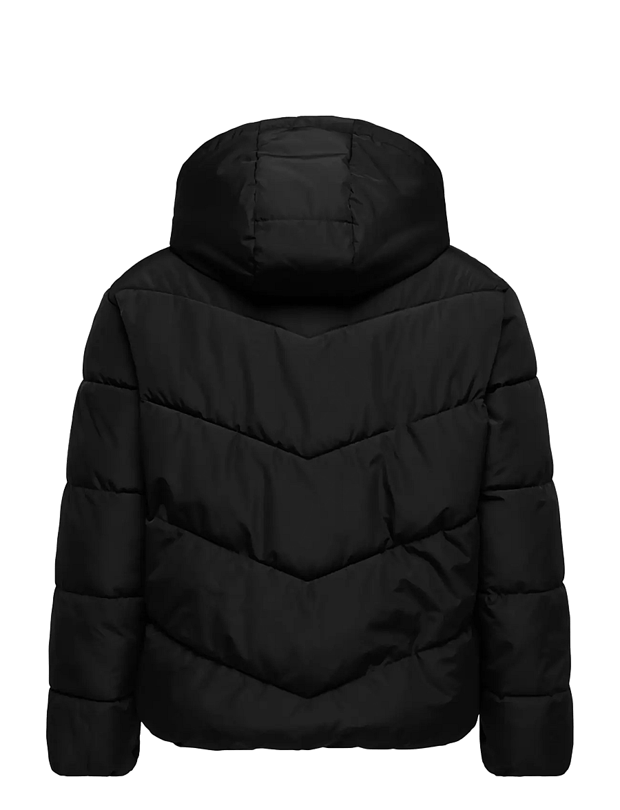 ONLY Carmakoma - CARCLAIR SHORT PUFFER OTW - winter jackets - black - 1