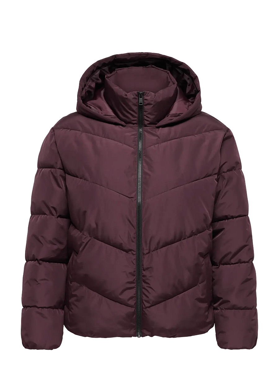 ONLY Carmakoma - CARCLAIR SHORT PUFFER OTW - talvejoped - fudge - 0