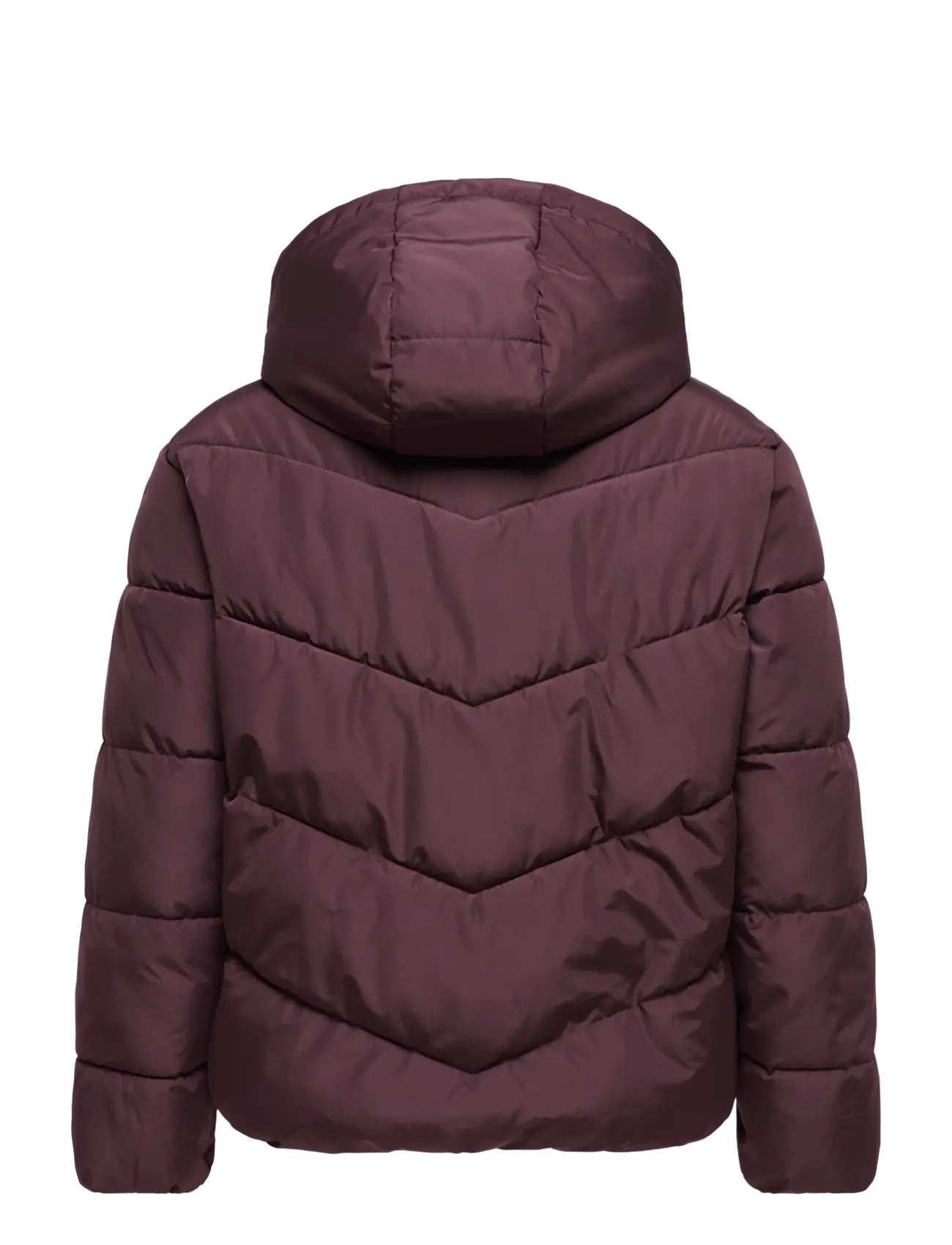 ONLY Carmakoma Carclair Short Puffer Otw jackor dam – bild 2