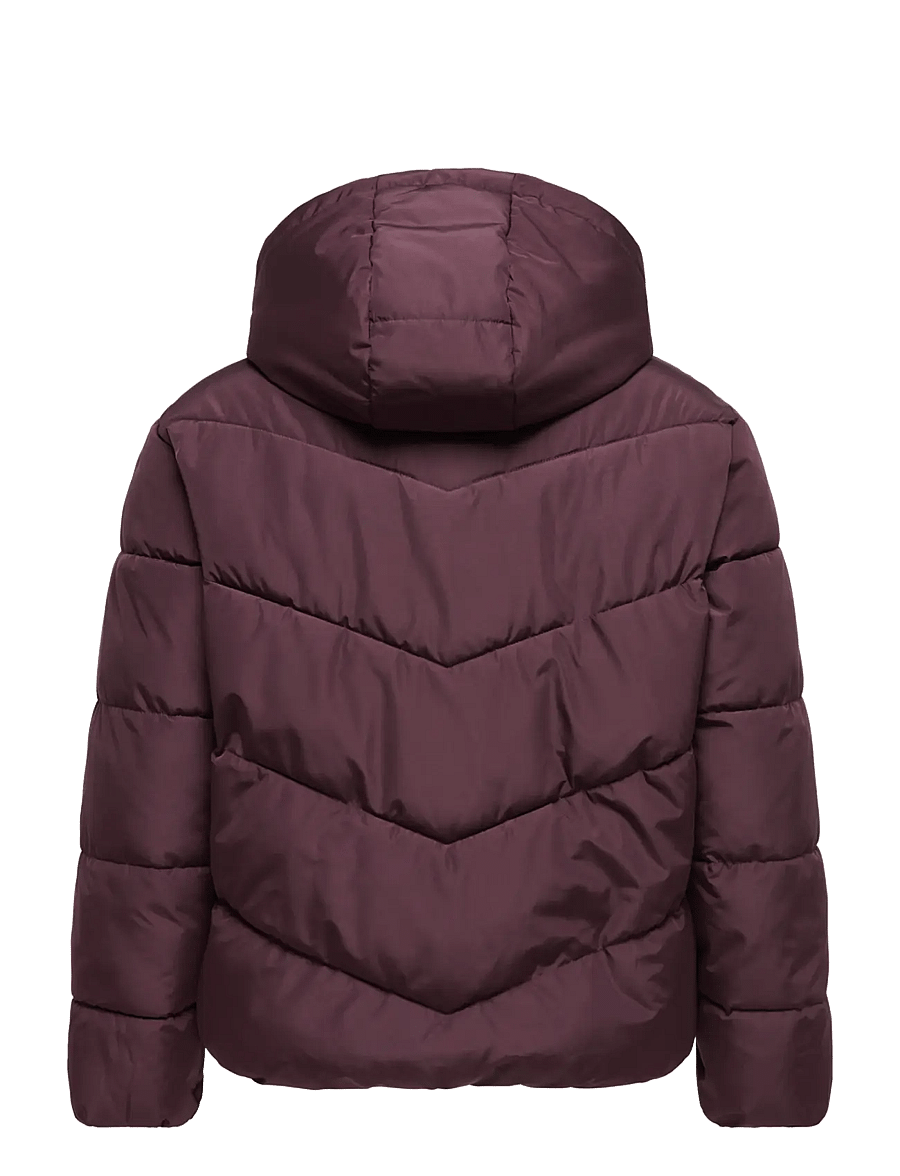 ONLY Carmakoma - CARCLAIR SHORT PUFFER OTW - talvejoped - fudge - 1