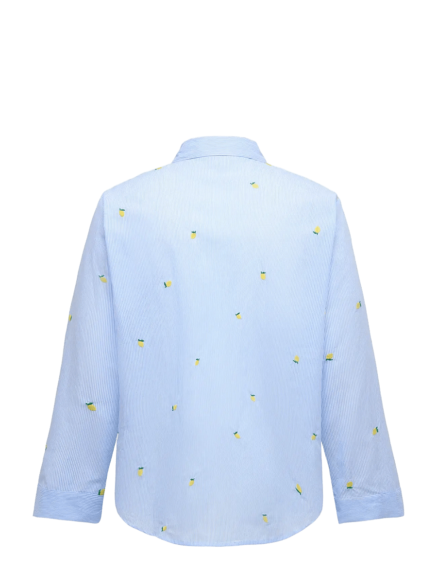 ONLY Carmakoma - CARNEW LINA GRACE LS EMB SHIRT WVN - soft chambray - 1