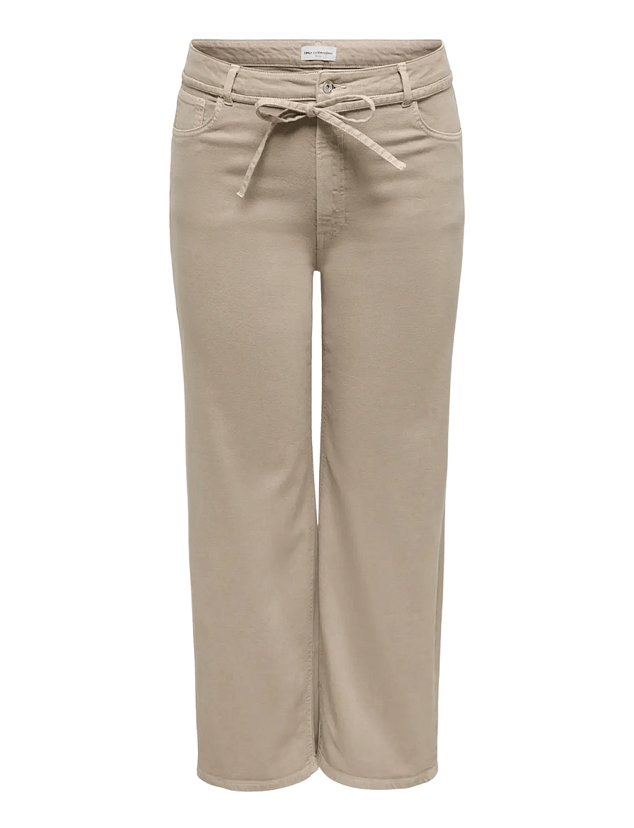 ONLY Carmakoma - CARHILLA GIANNA MW STRAIGHT PANT - straight jeans - silver mink - 1