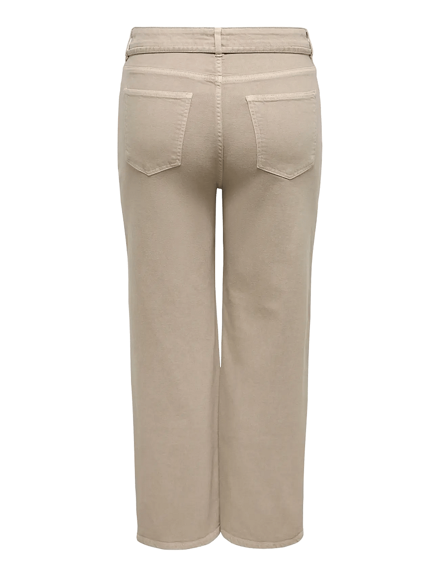 ONLY Carmakoma - CARHILLA GIANNA MW STRAIGHT PANT - straight jeans - silver mink - 2