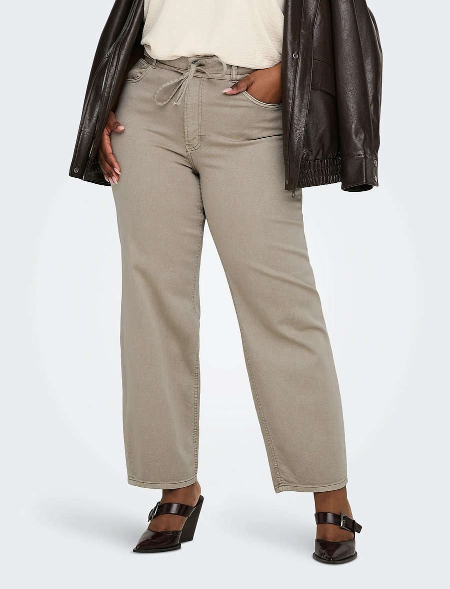 ONLY Carmakoma - CARHILLA GIANNA MW STRAIGHT PANT - straight jeans - silver mink - 0