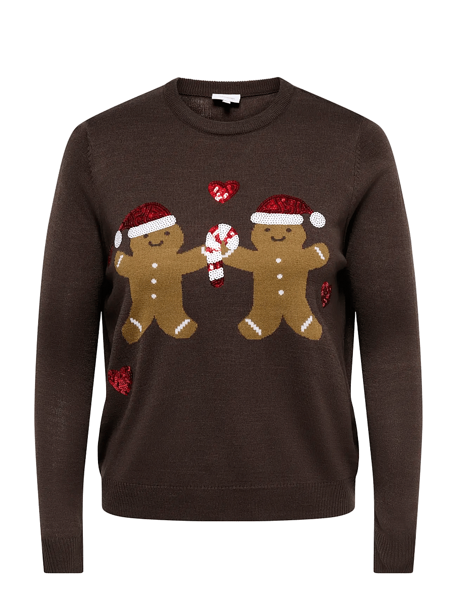 ONLY Carmakoma - CARXMAS SHINE MOTIVE LS O-NECK KNT - coffee bean - 1