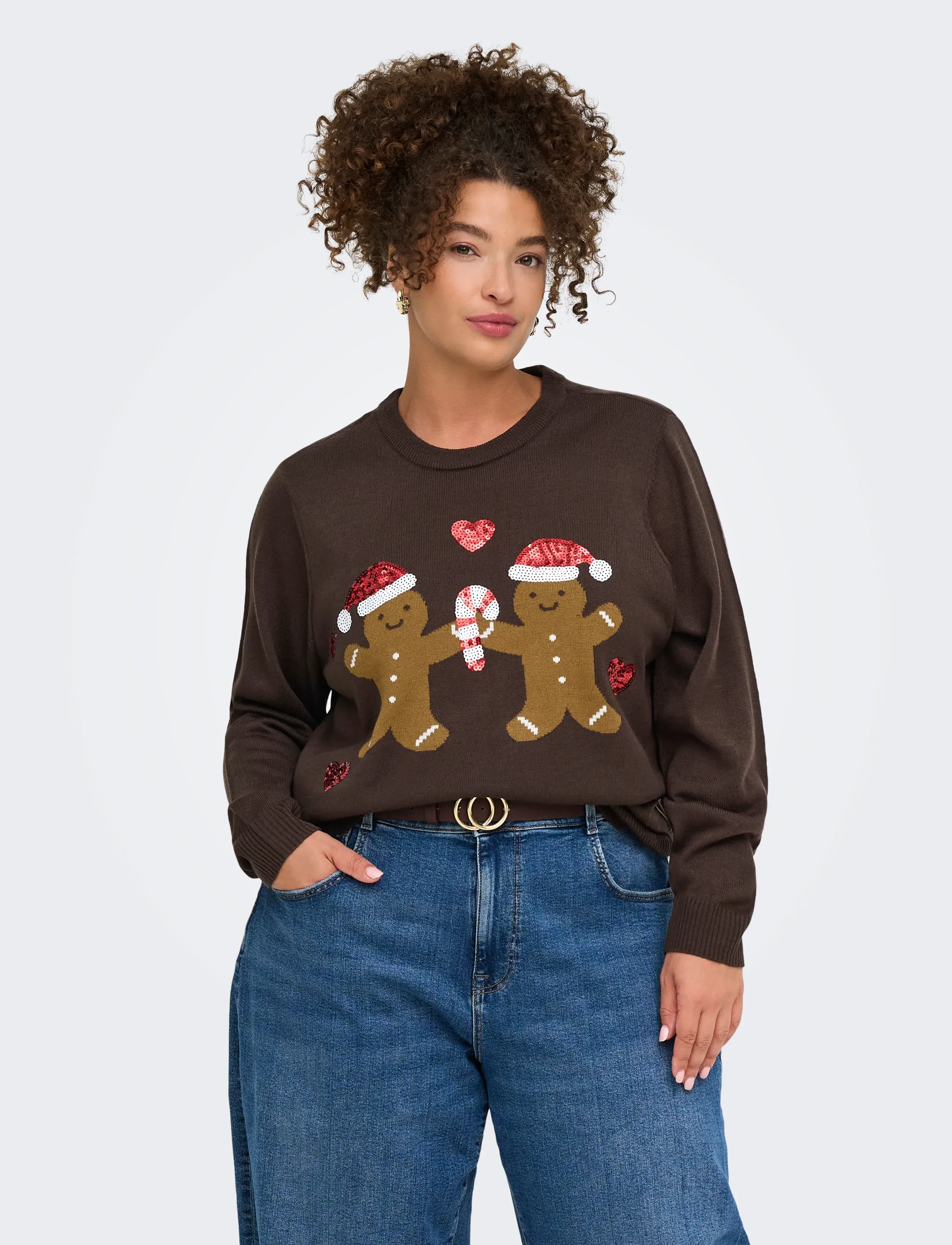 ONLY Carmakoma - CARXMAS SHINE MOTIVE LS O-NECK KNT - coffee bean - 0