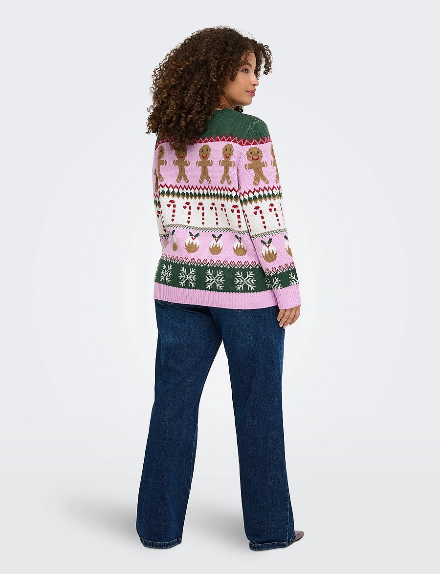 ONLY Carmakoma - CARXMAS HO LS O-NECK KNT - pullover - phalaenopsis - 3