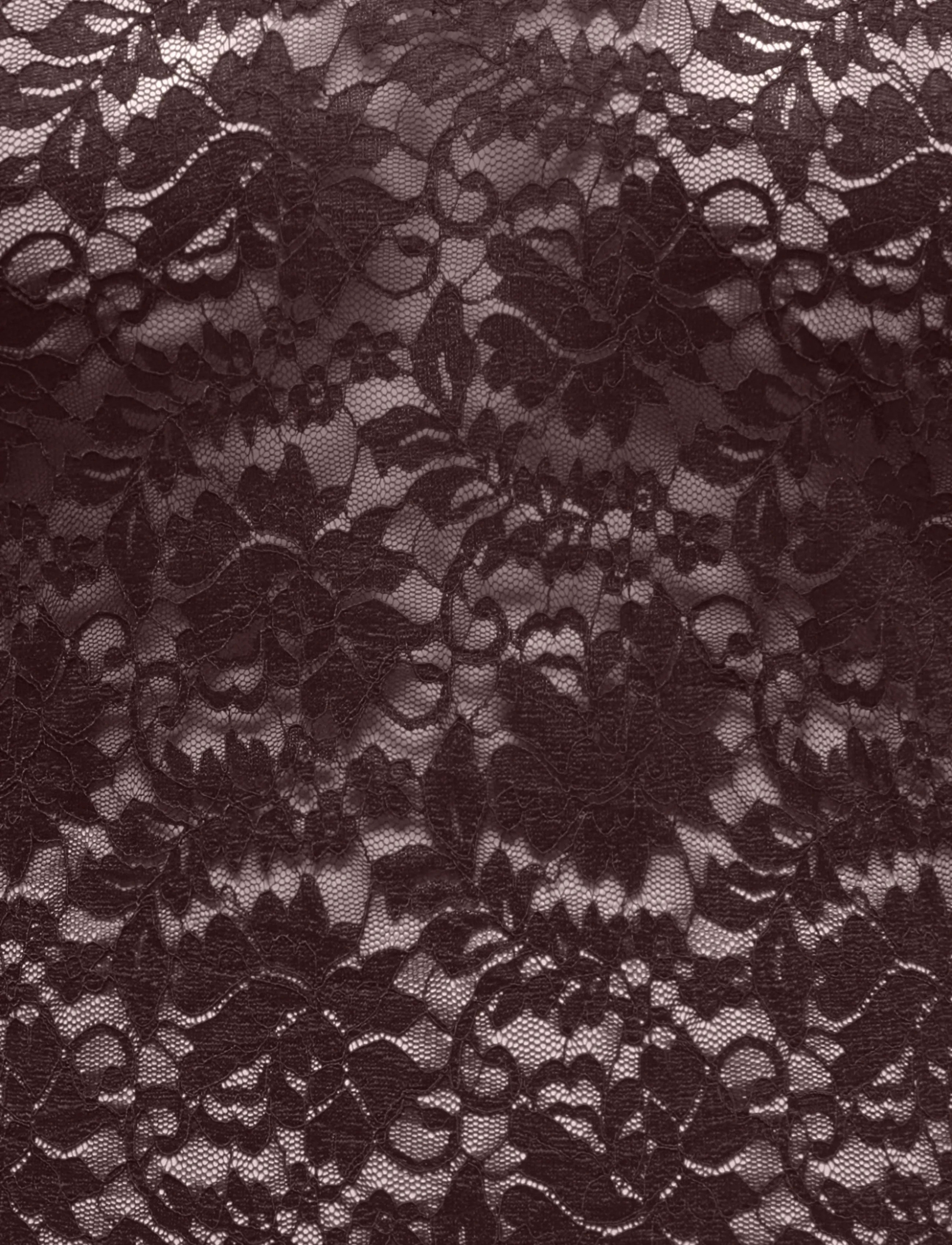 ONLY Carmakoma - CARNIKKA L/S LACE TOP JRS NOOS - långärmade blusar - coffee bean - 2