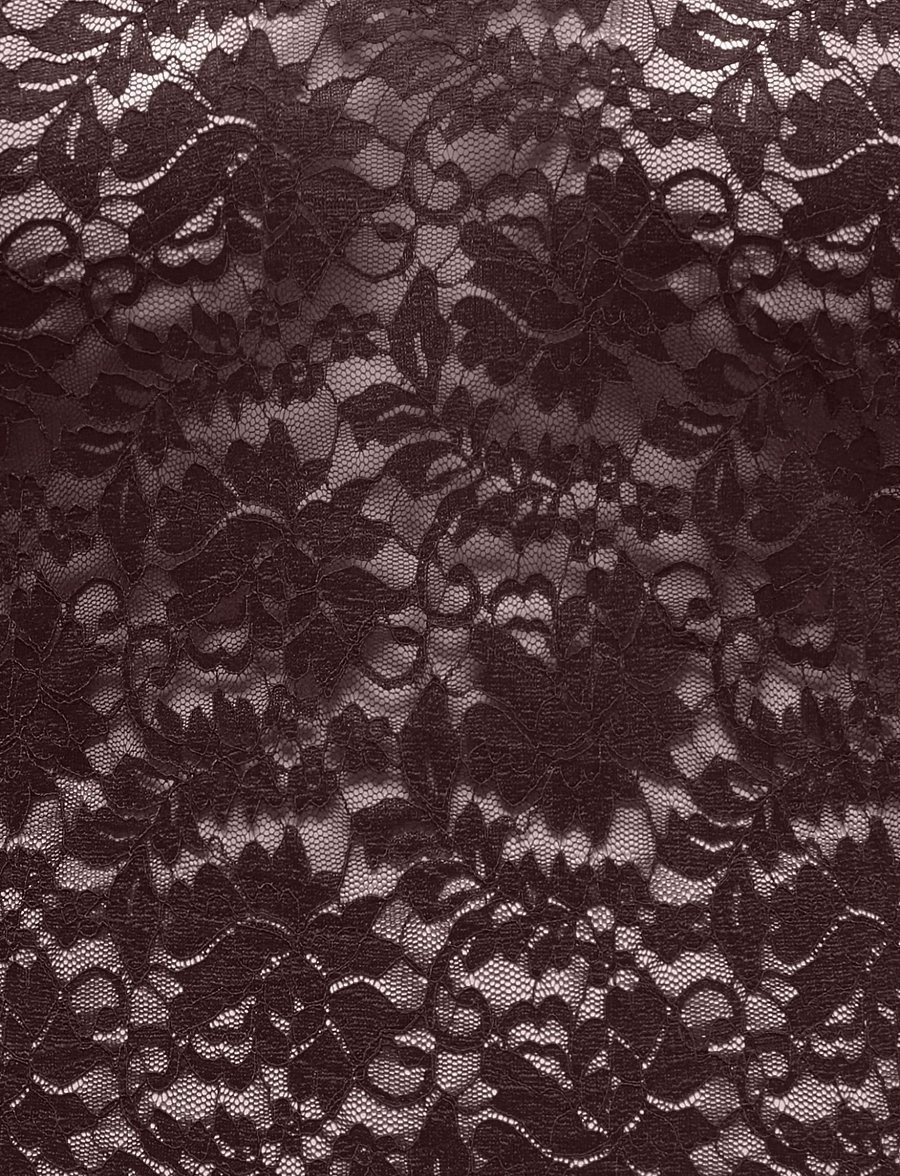 ONLY Carmakoma - CARNIKKA L/S LACE TOP JRS NOOS - långärmade blusar - coffee bean - 2