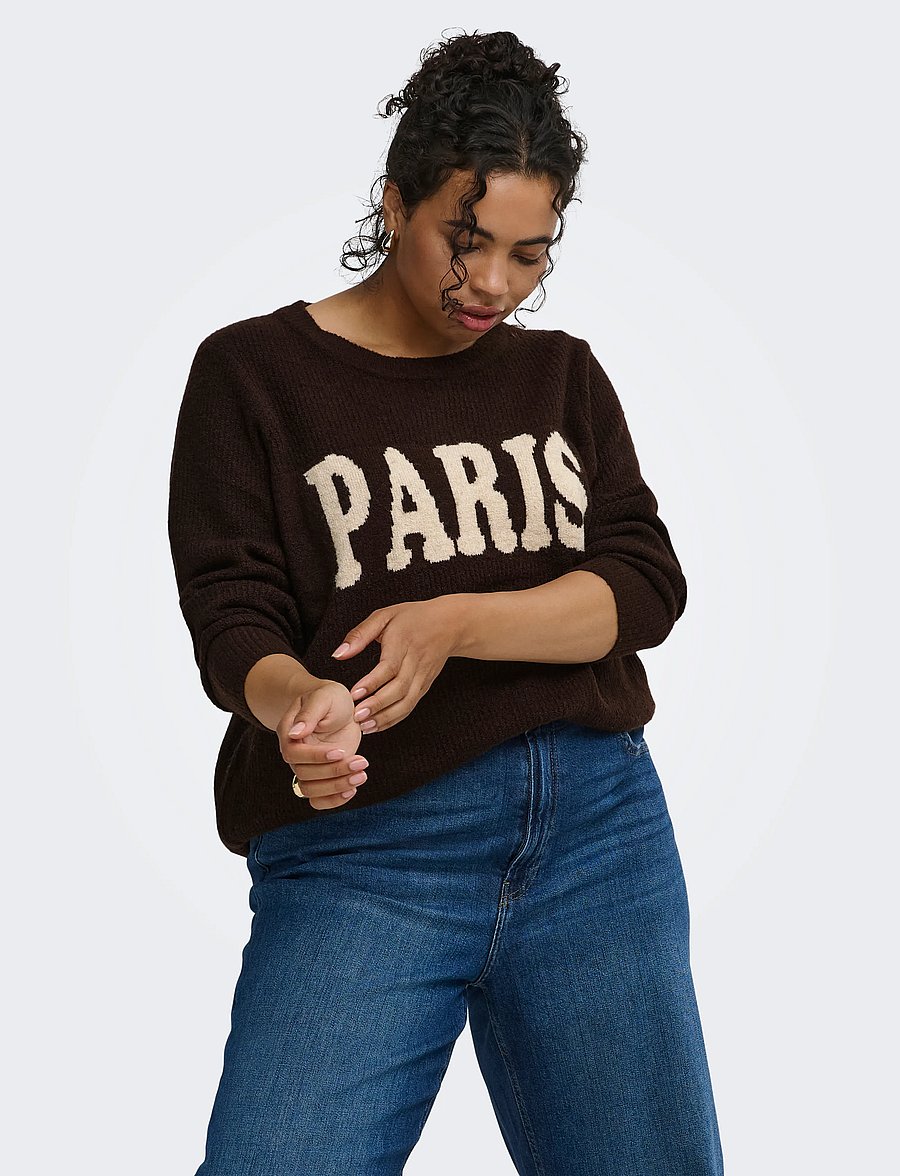 ONLY Carmakoma - CARJERICO L/S PULLOVER KNT - coffee bean - 0