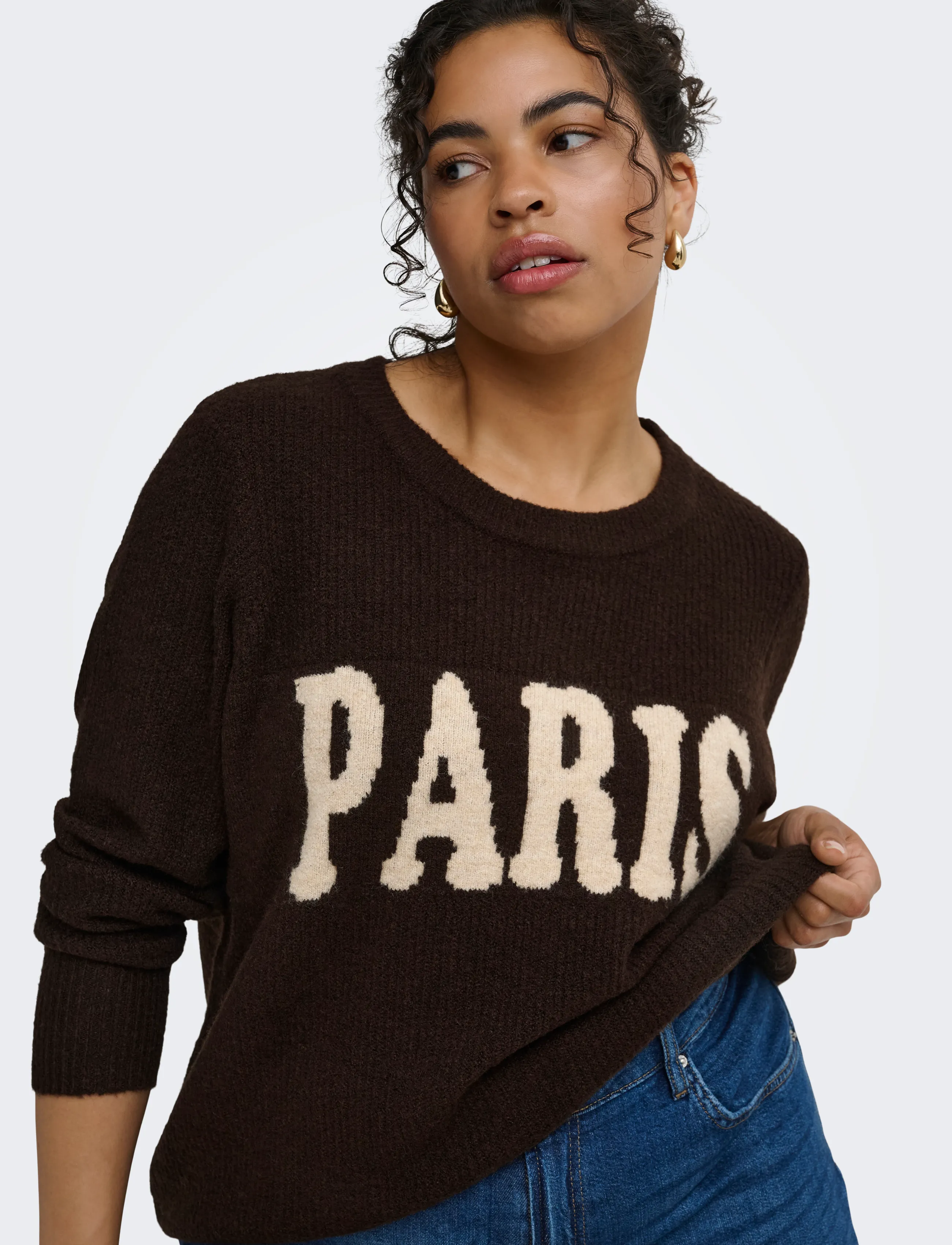 ONLY Carmakoma - CARJERICO L/S PULLOVER KNT - coffee bean - 5