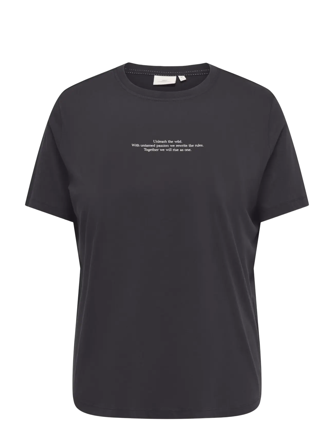 ONLY Carmakoma CARROXY S/S REG O-NECK TEE JRS - T-shirts - PHANTOM / black