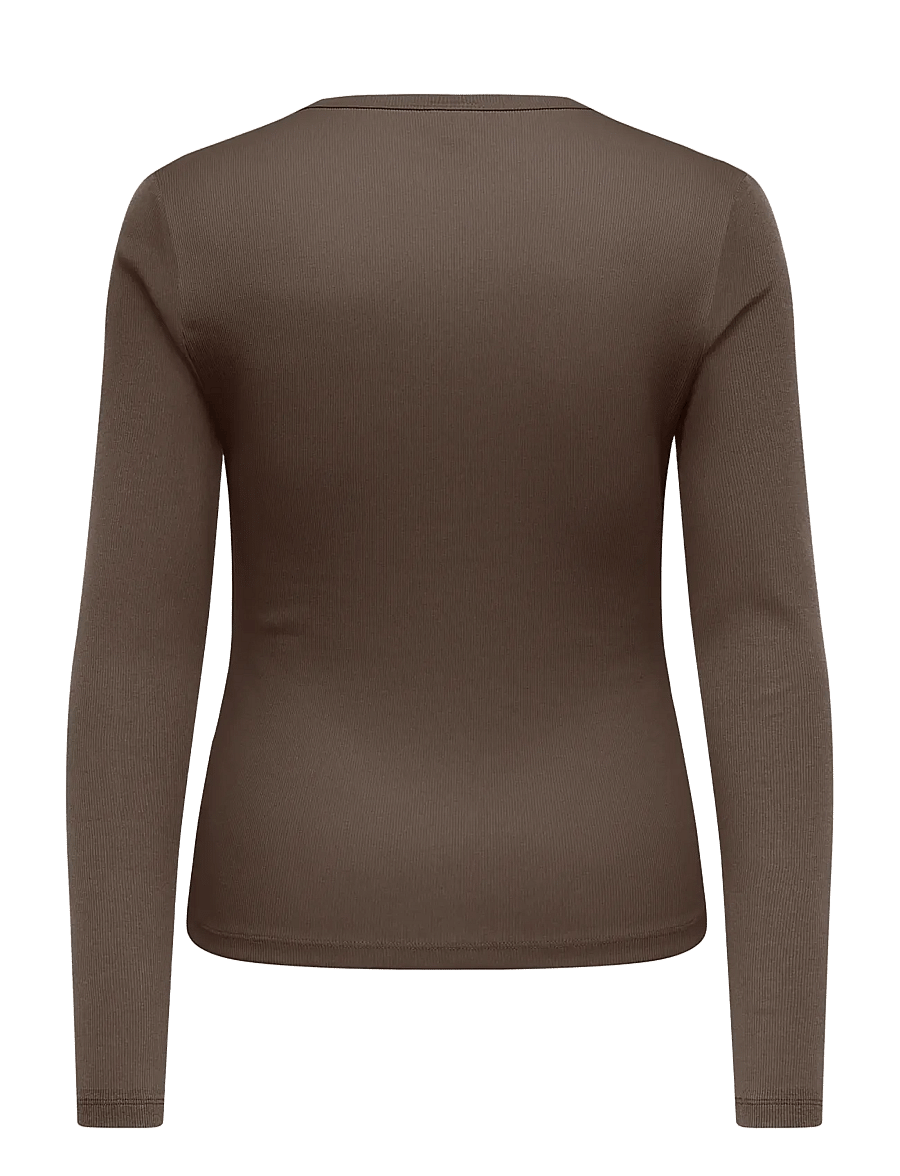 ONLY Carmakoma - CARVAL L/S O-NECK TOP JRS NOOS - langærmede toppe - bracken - 2