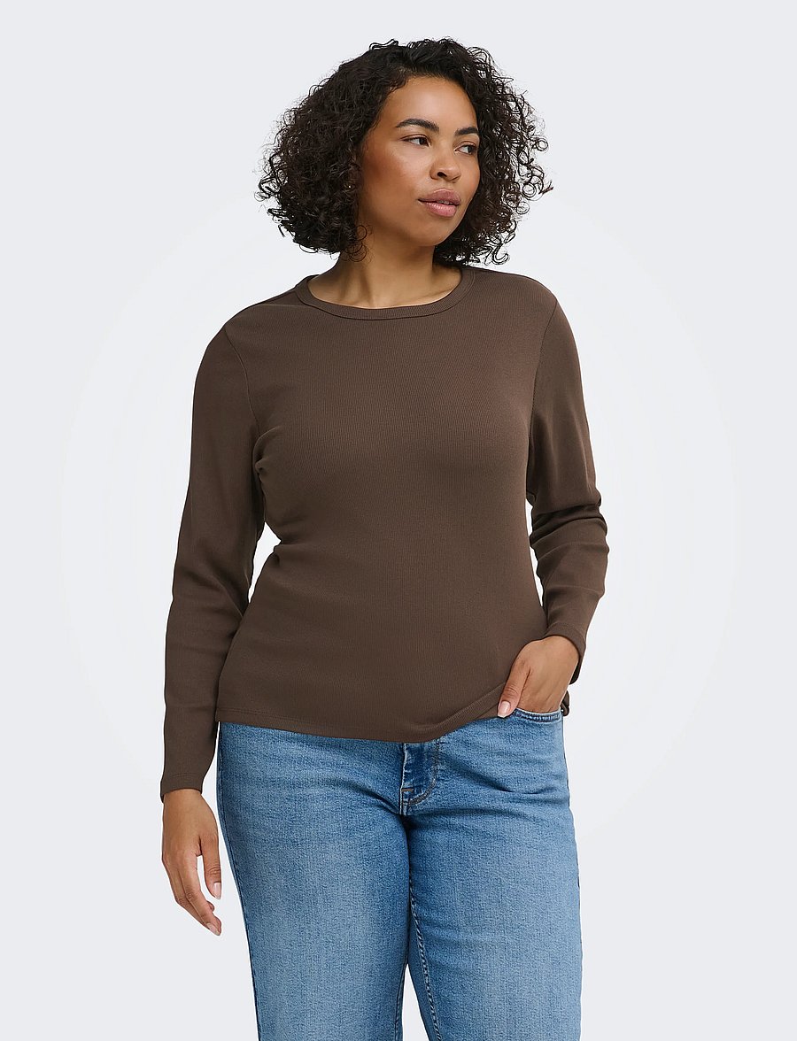 ONLY Carmakoma - CARVAL L/S O-NECK TOP JRS NOOS - langærmede toppe - bracken - 0