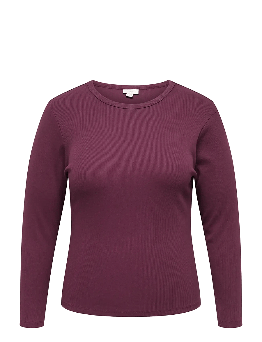 ONLY Carmakoma - CARVAL L/S O-NECK TOP JRS NOOS - langærmede toppe - fig - 0
