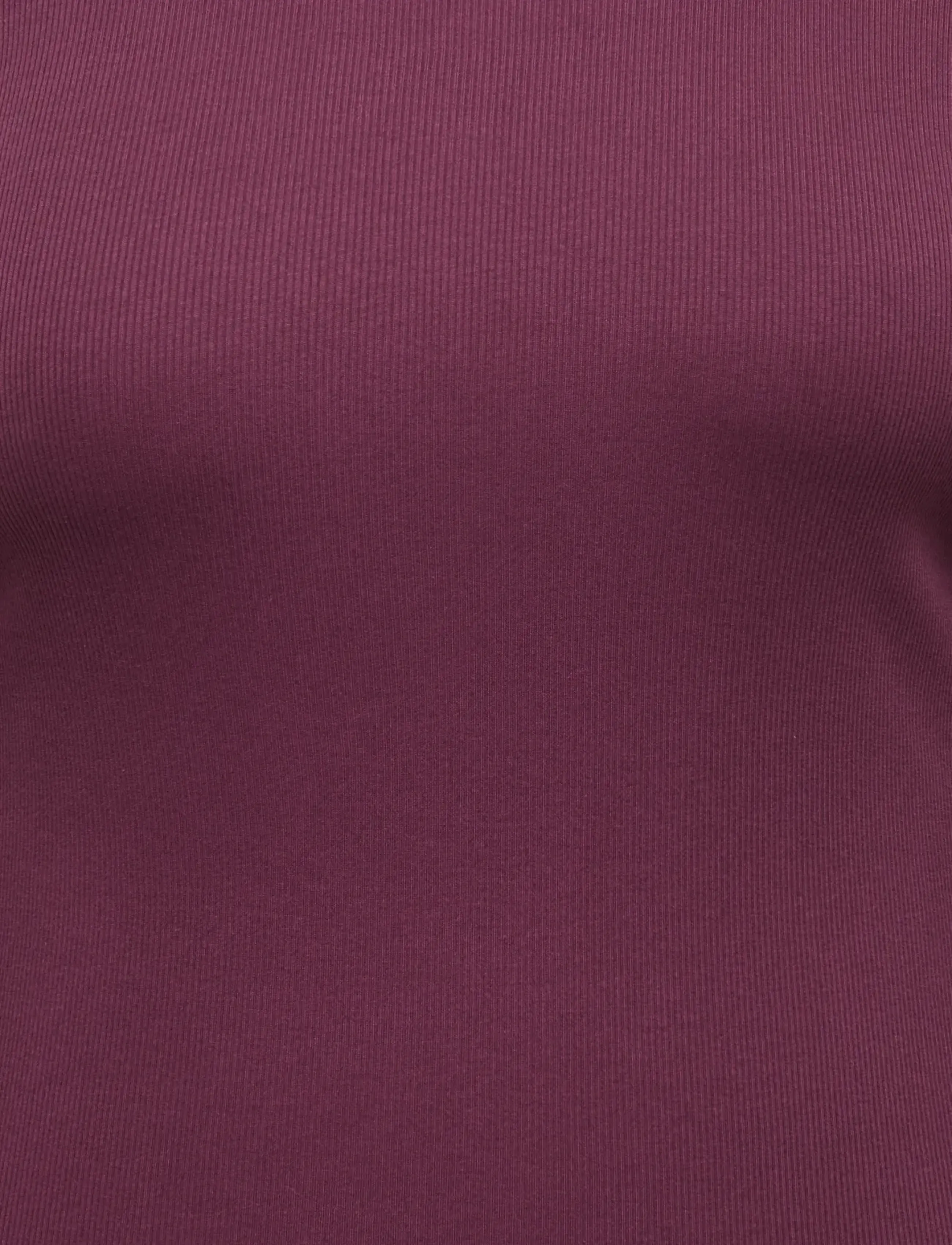 ONLY Carmakoma - CARVAL L/S O-NECK TOP JRS NOOS - langærmede toppe - fig - 2